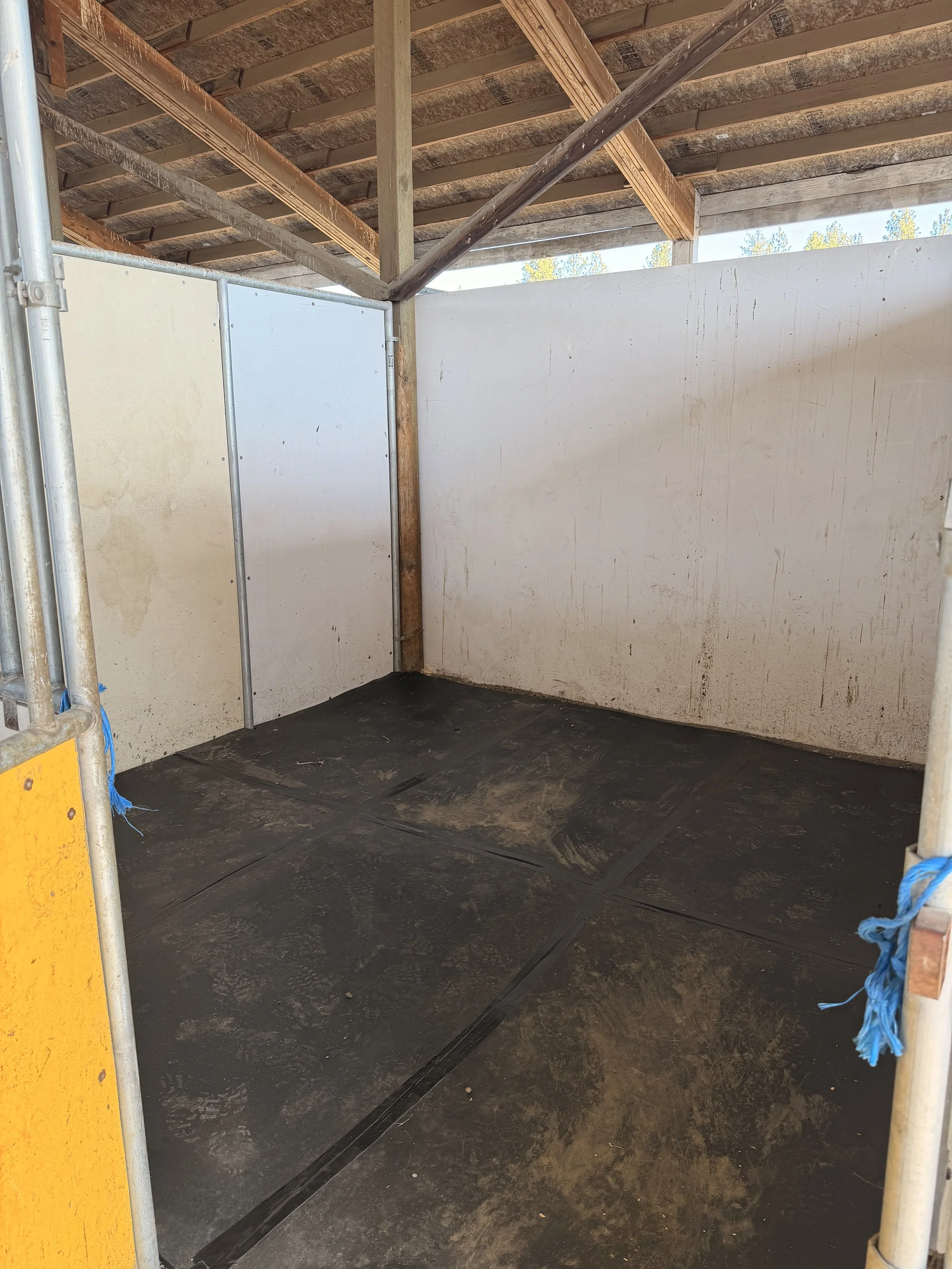 Recently Saved - 10 of 14.jpeg