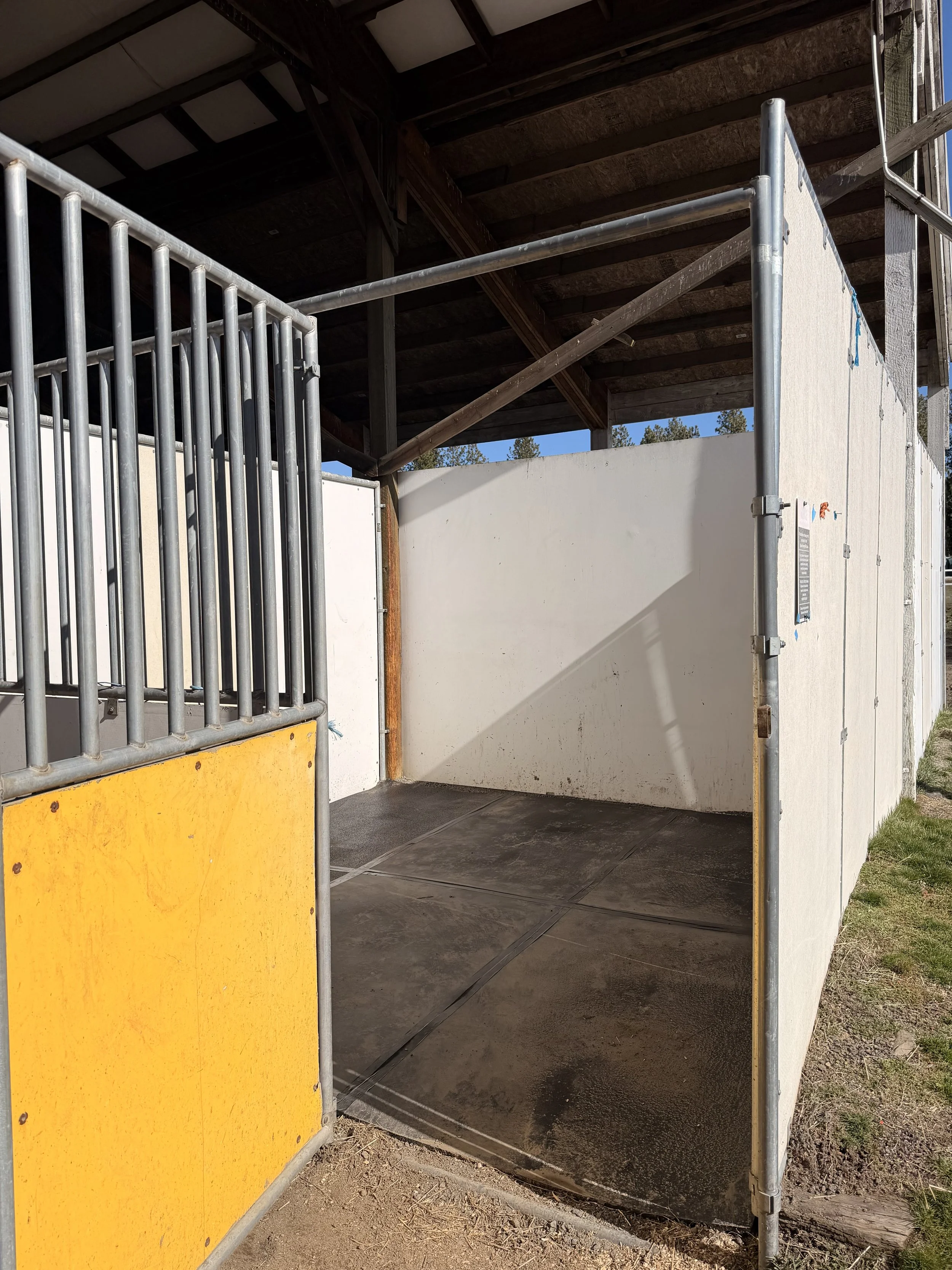 Recently Saved - 8 of 14.jpeg