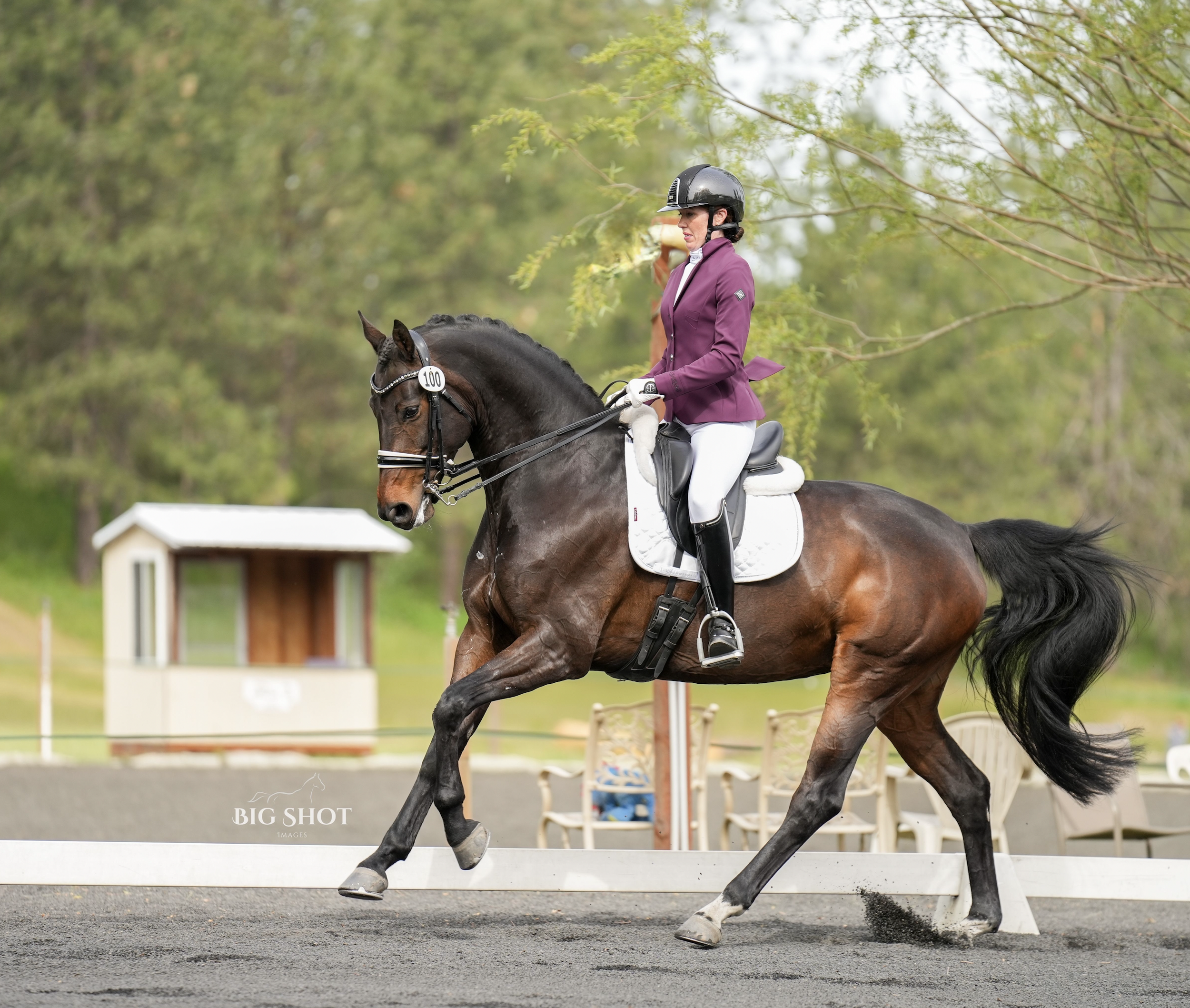 USDF Dressage Show