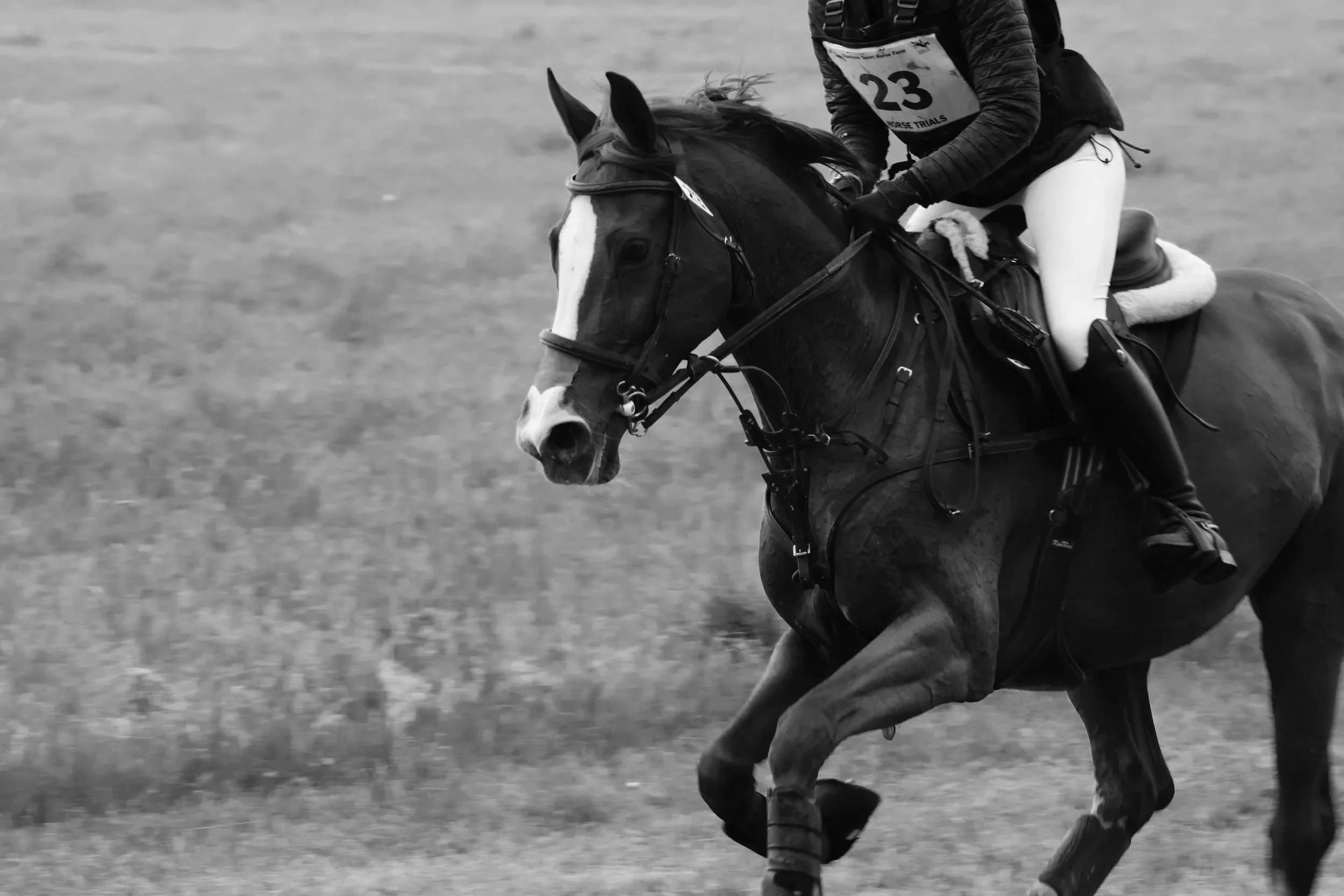 Fall Horse Trials, FEI and Classic Event