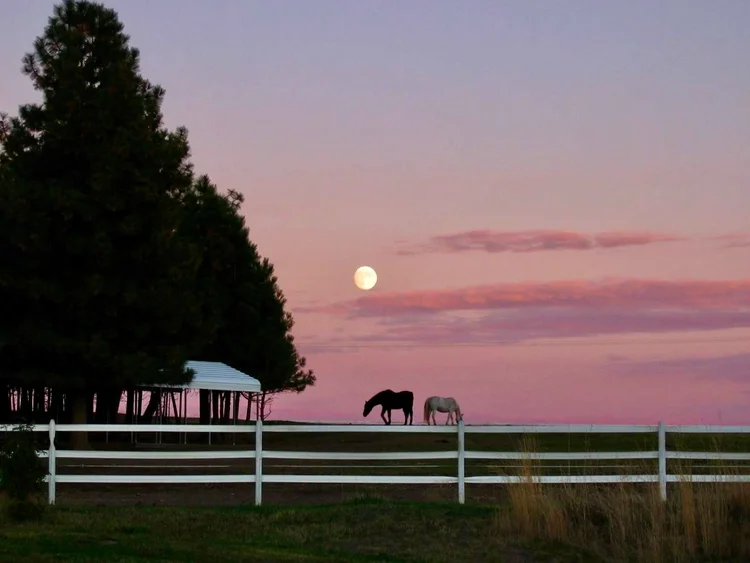 About 3 — Spokane Sport Horse Farm
