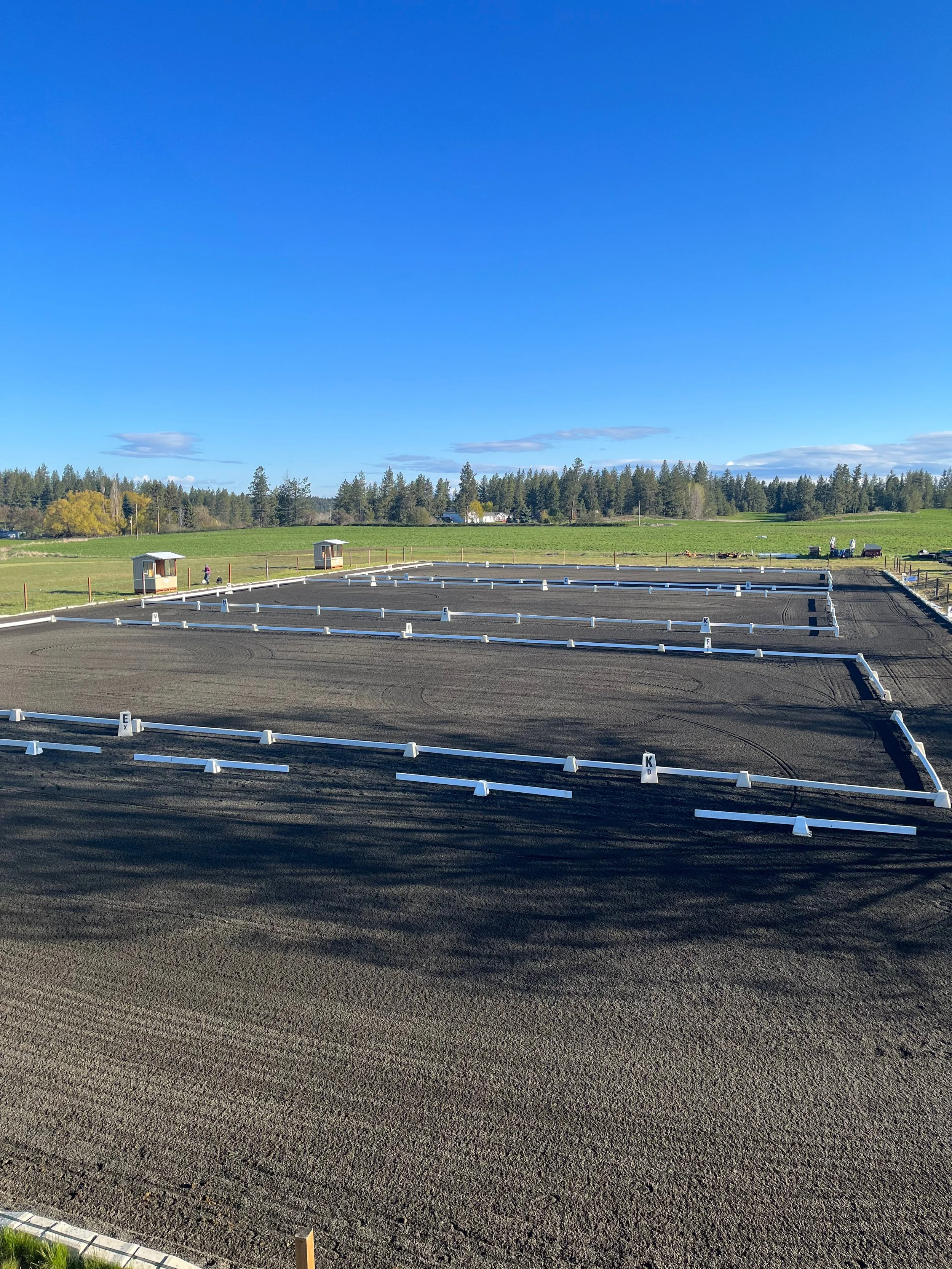 dressage - 5 of 8.jpeg