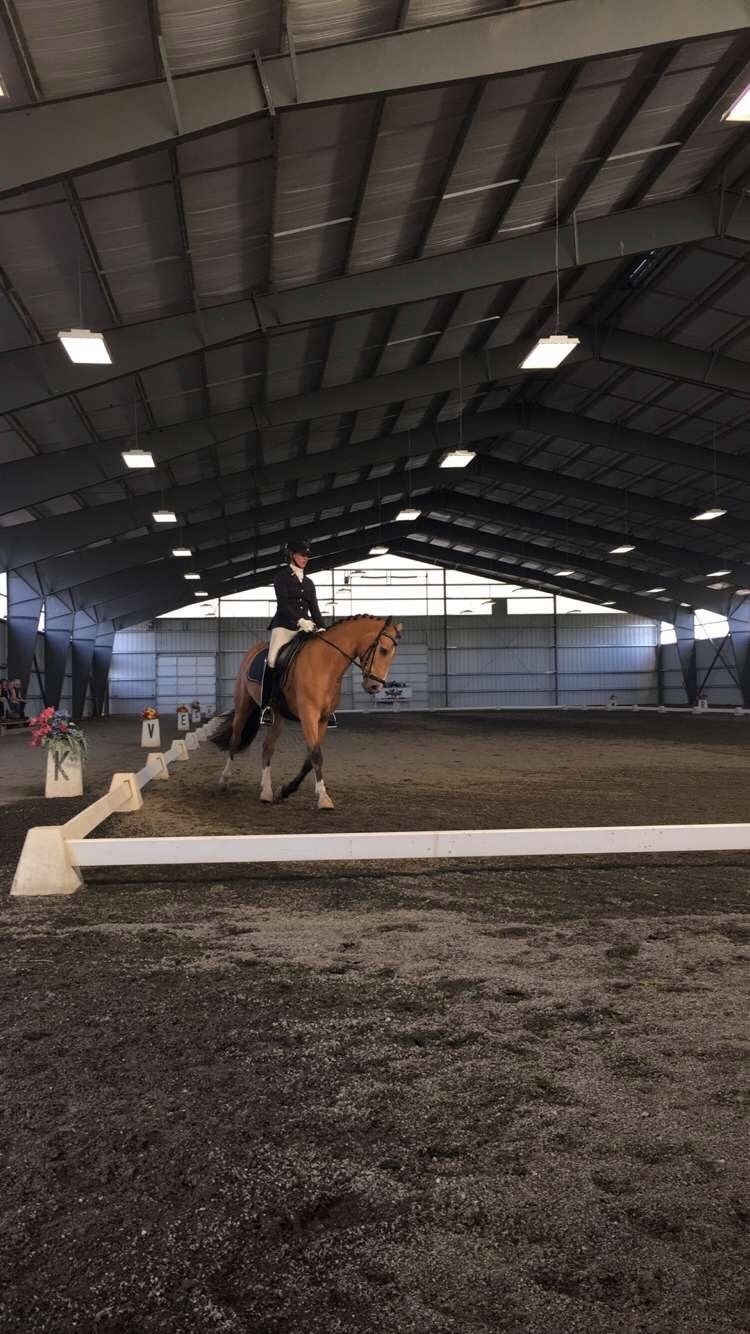 dressage - 6 of 8.jpeg