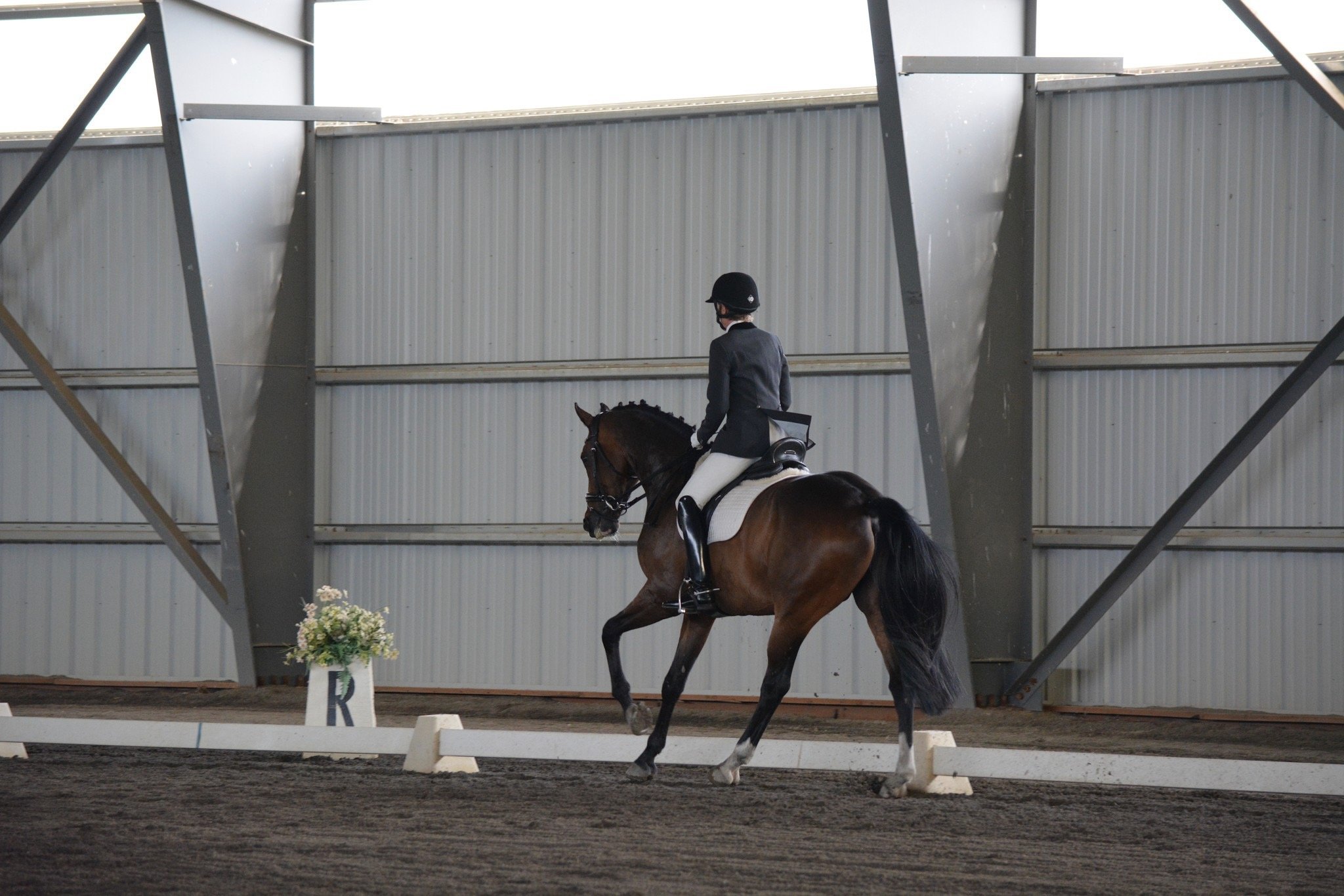 dressage - 2 of 8.jpeg