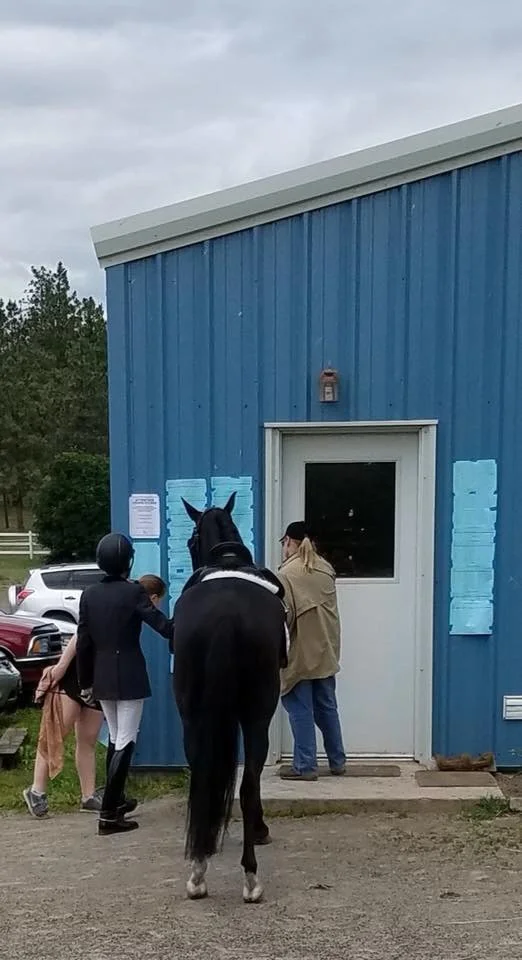 dressage - 7 of 8.jpeg