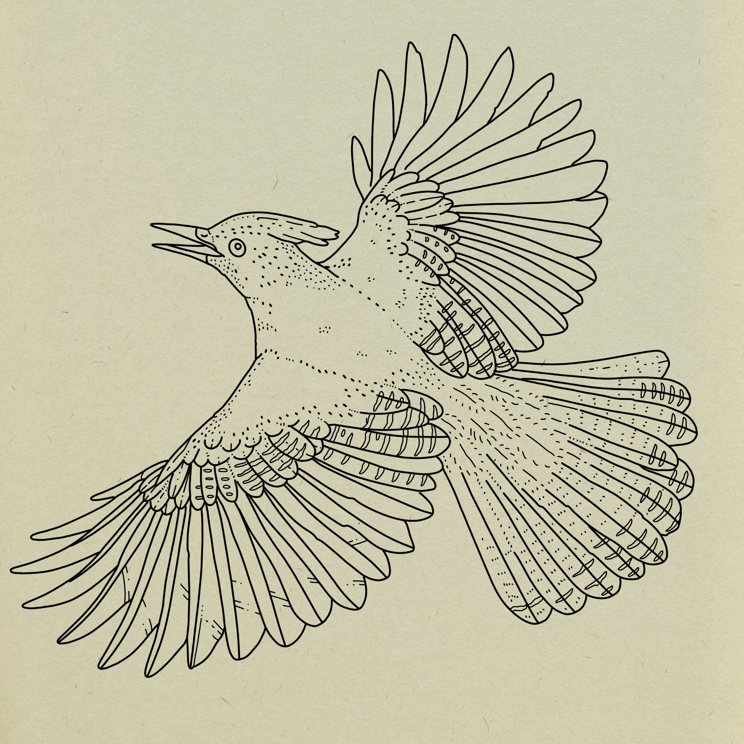 Available flash by Elle @ellesparksstudio at Birdhouse Tattoo Portland, Oregon