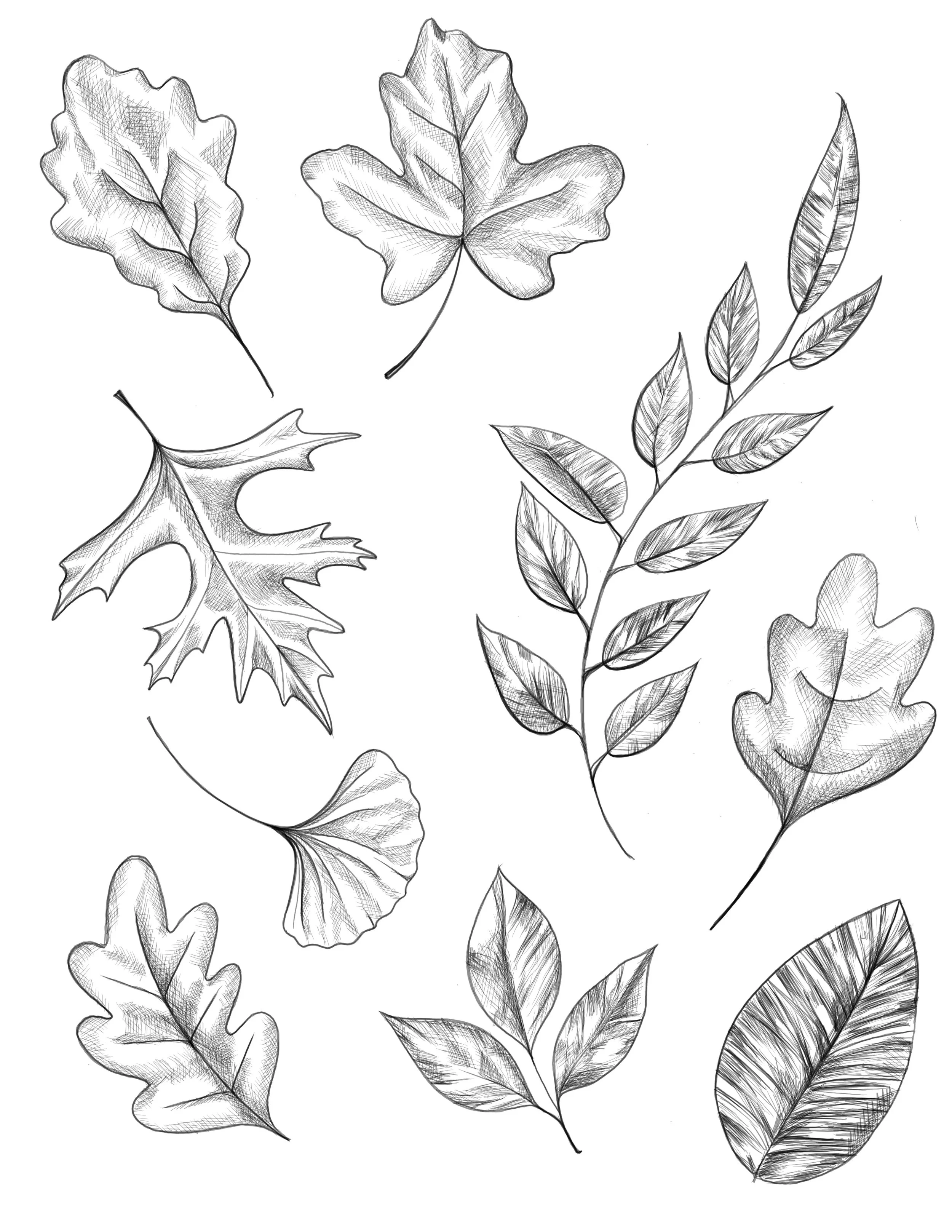 Flash design by Andrew Baker