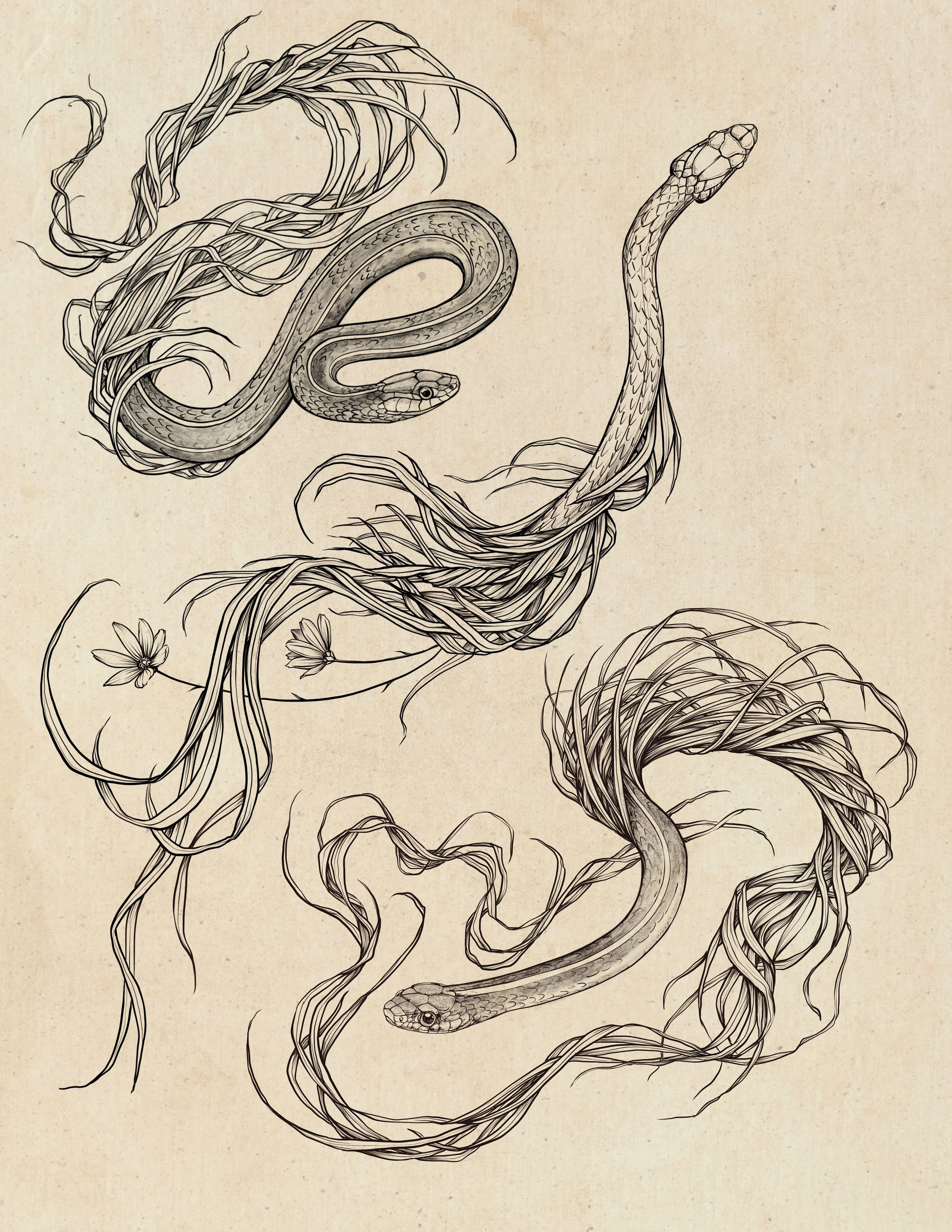 Grassy Sneks
