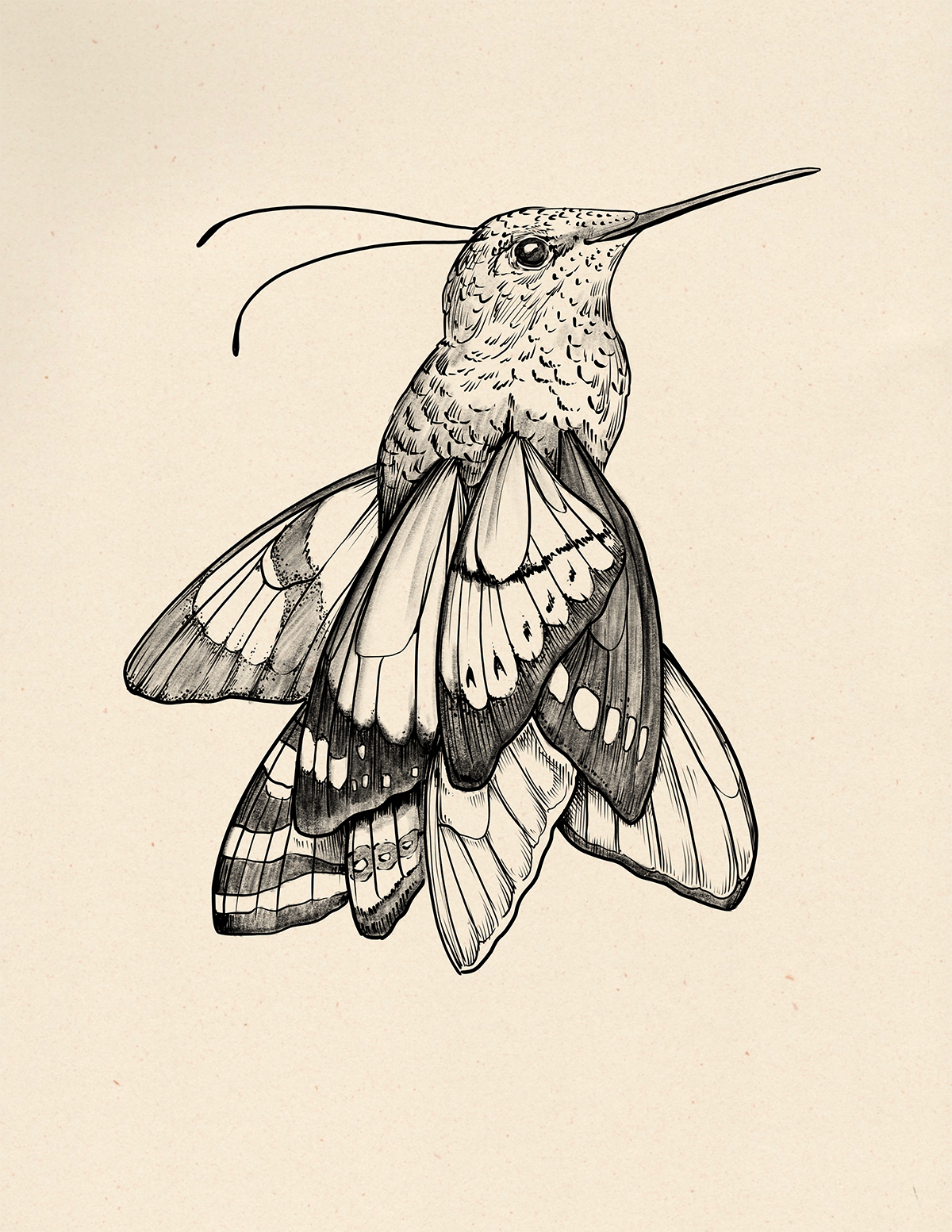 Hummer Fairy
