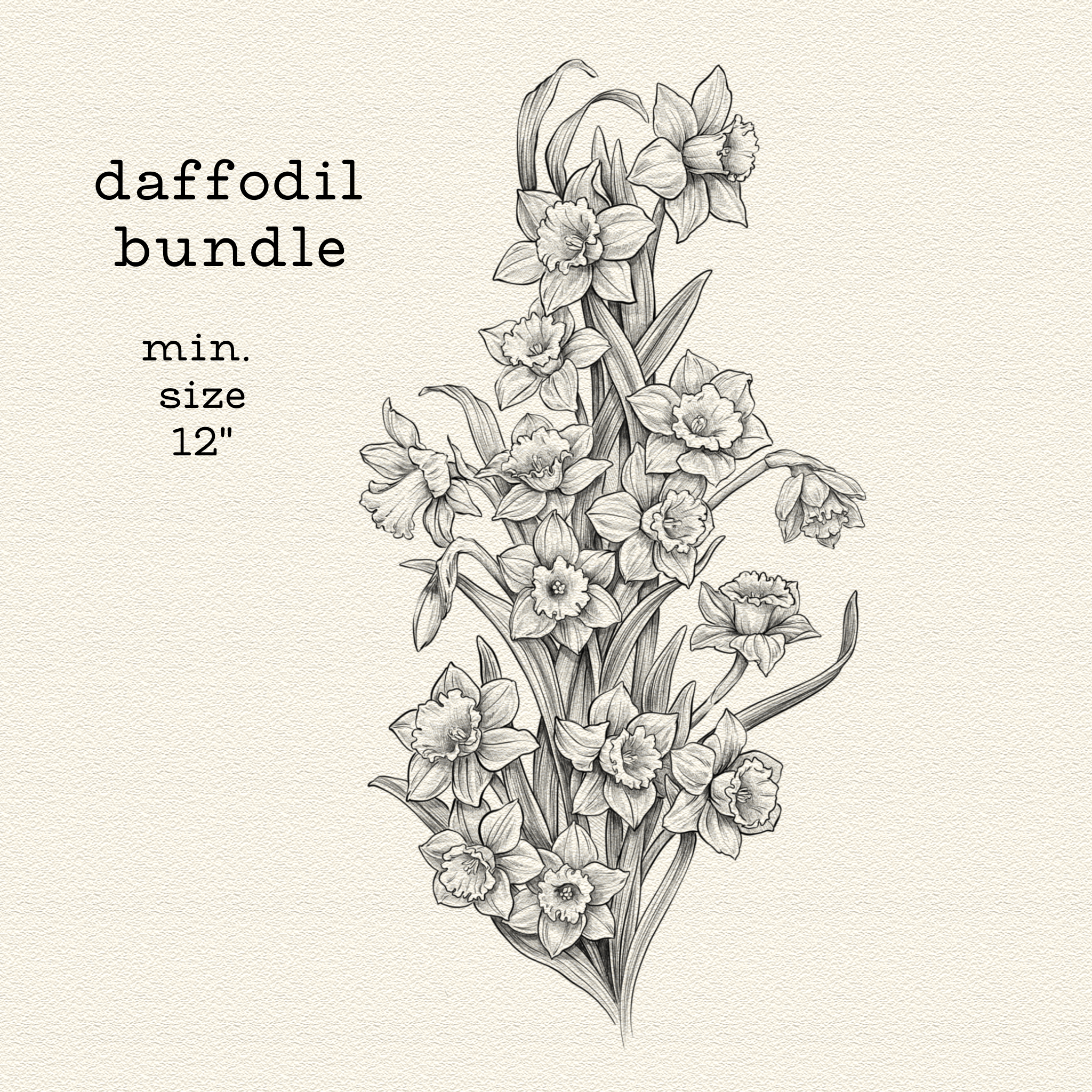 Daffodil Bundle