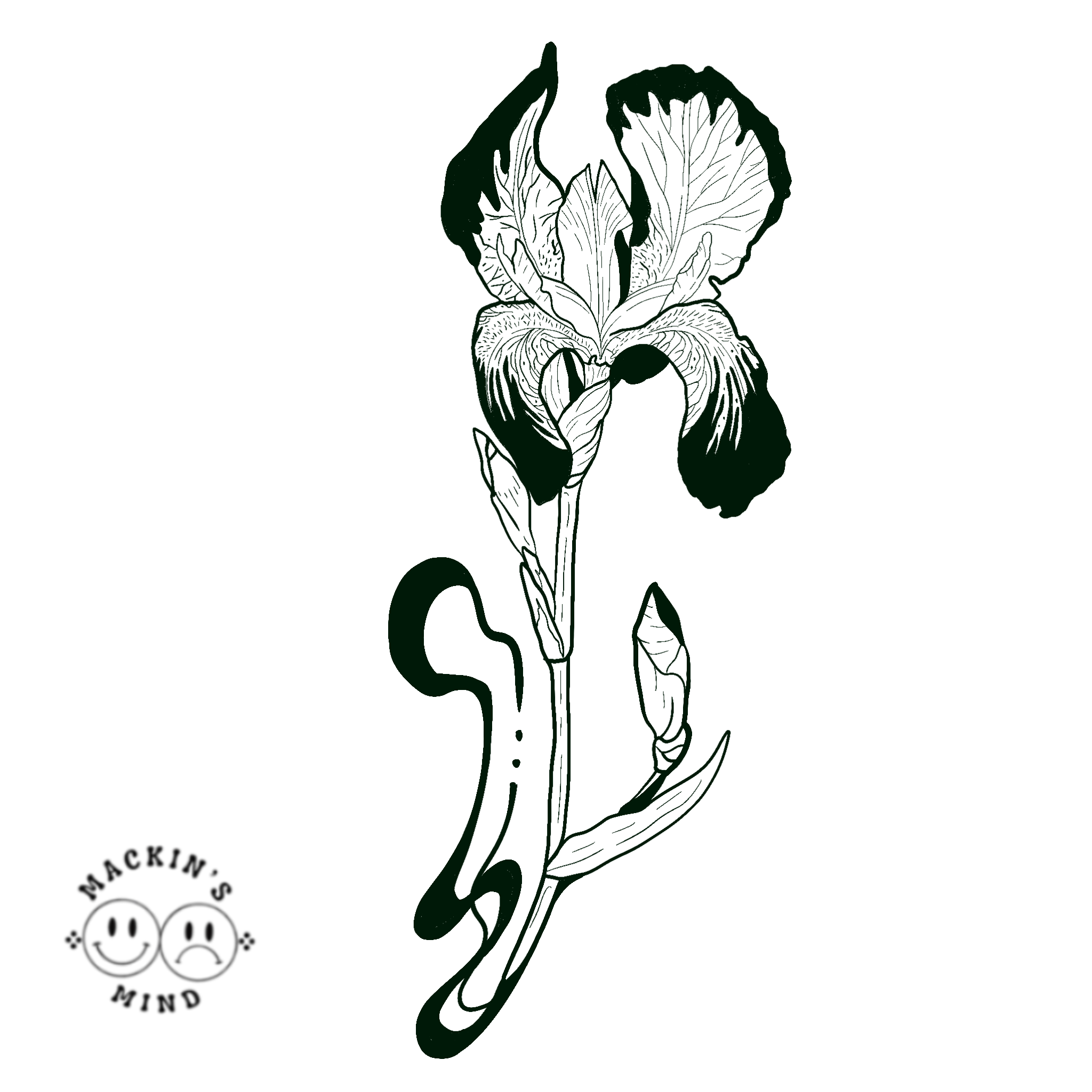 Available flash by Nic @mackinsmind
