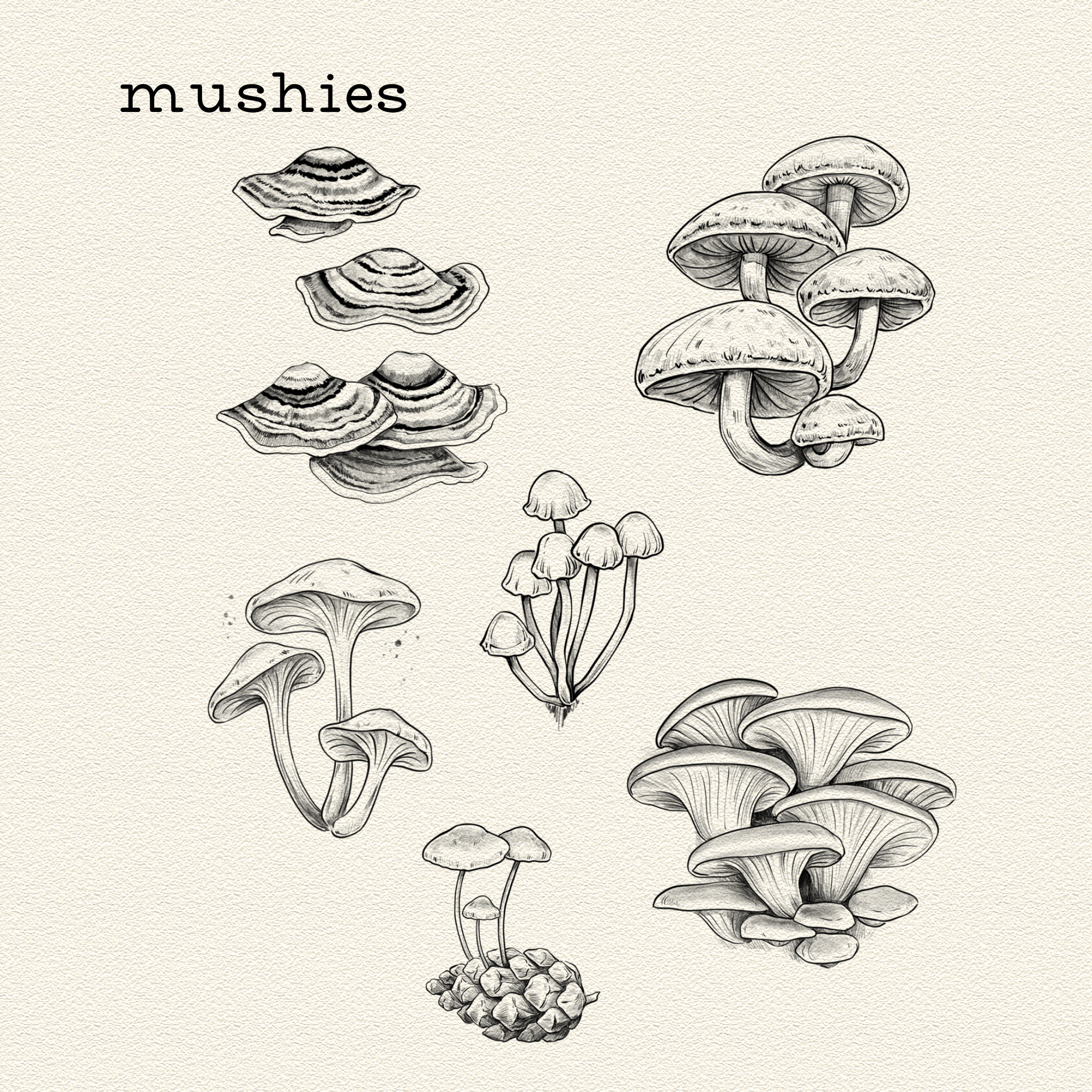 Mushies