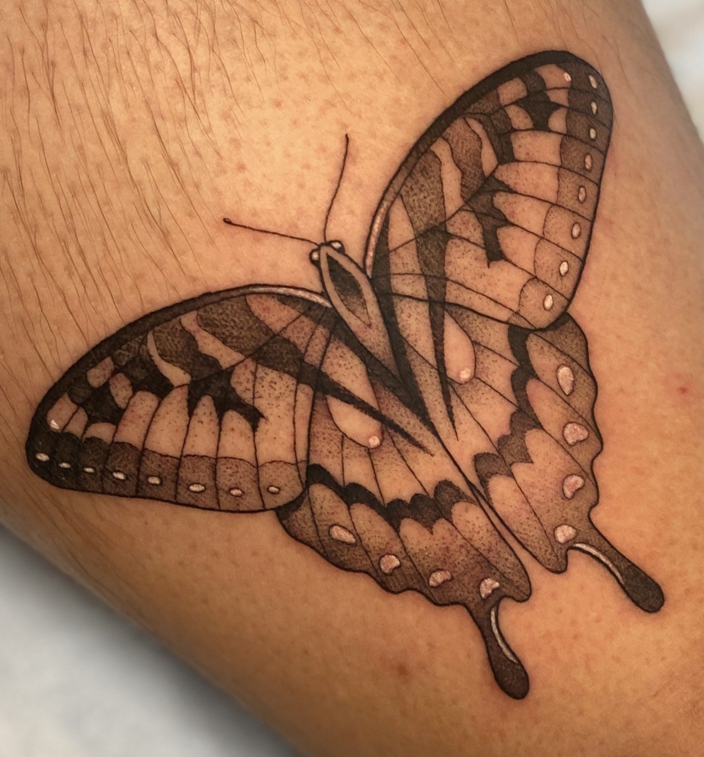 Tattoo by Conner @deerbatstats at Birdhouse Tattoo in Portland, Ore