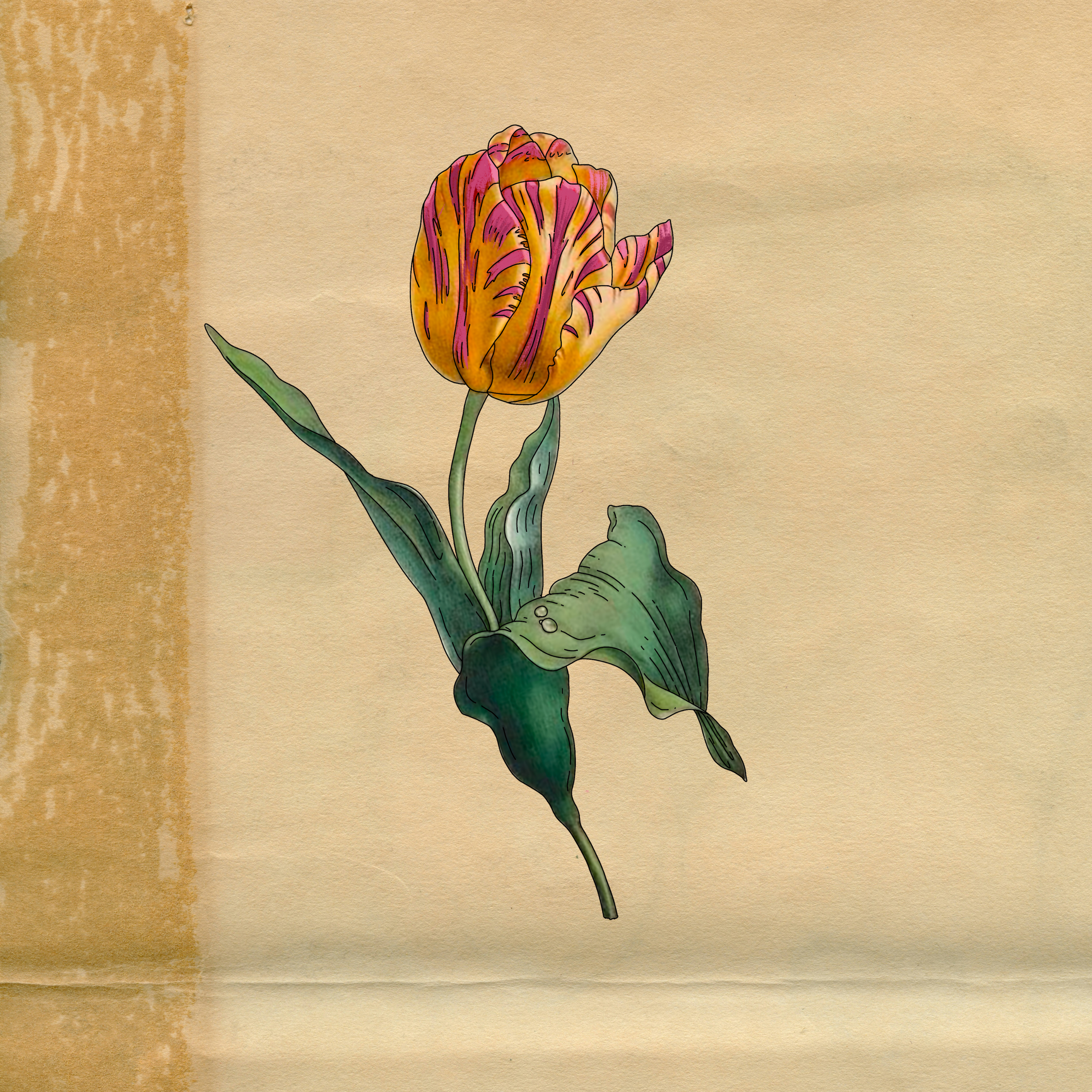 Available flash by Elle @ellesparksstudio at Birdhouse Tattoo Portland, Oregon