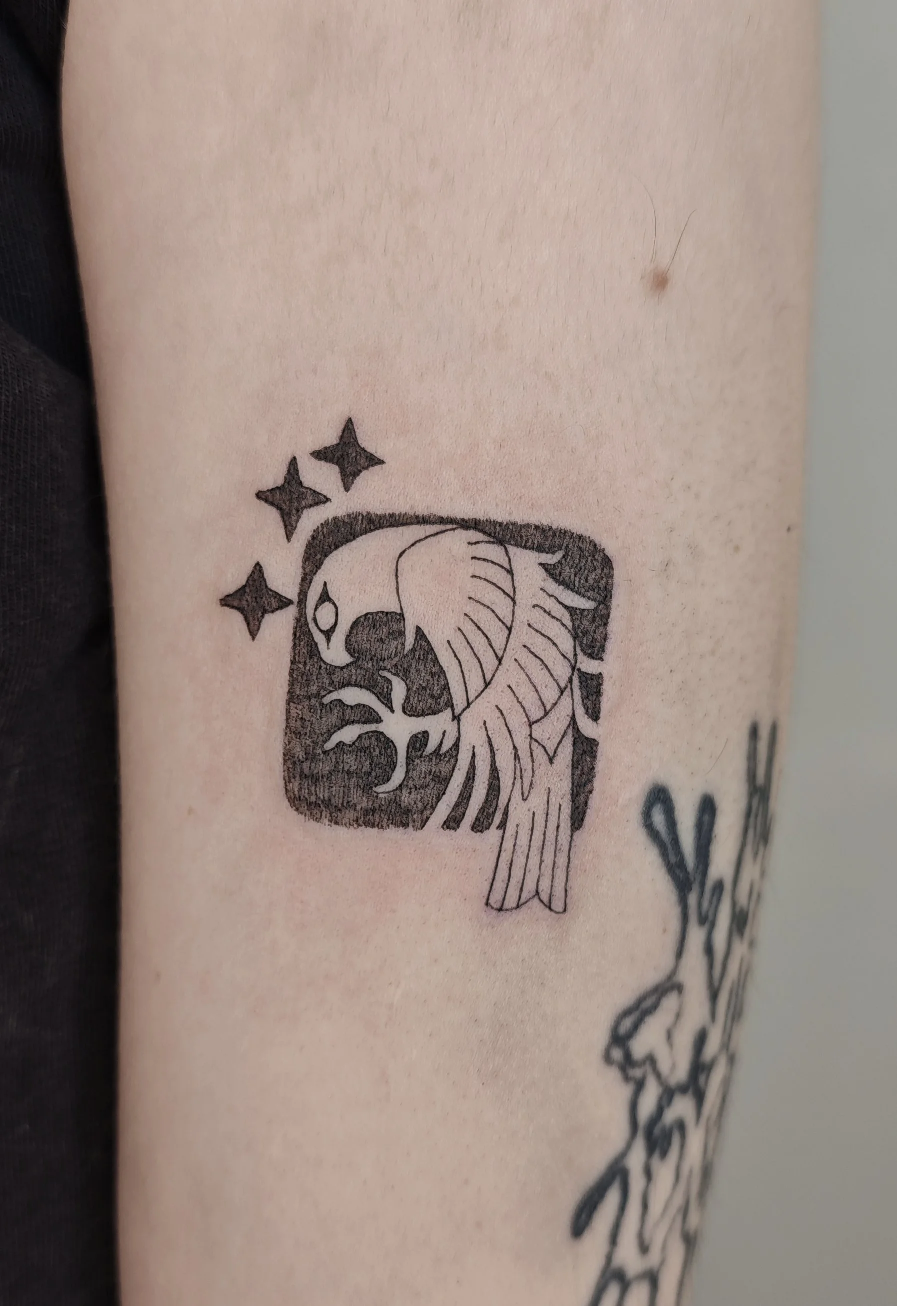 Tattoo by Grey @birdsolitaire at Birdhouse Tattoo in Portland Oregon