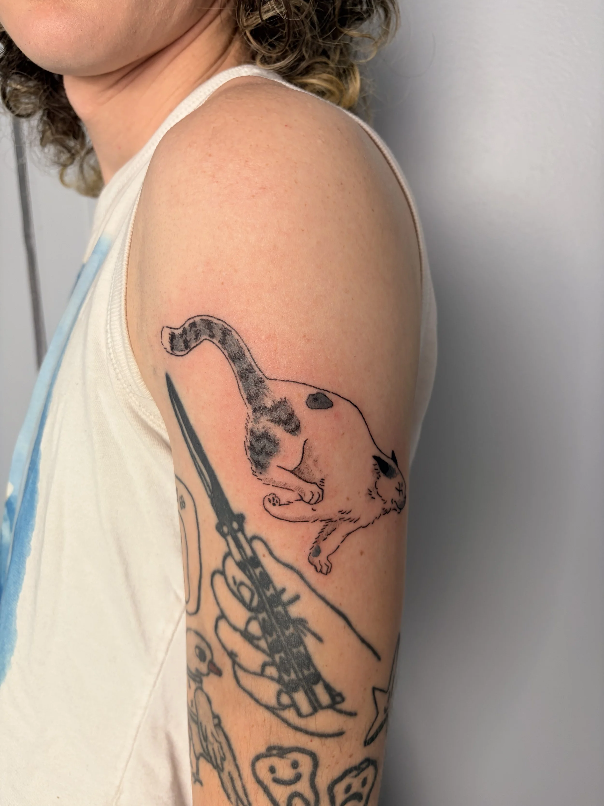 Tattoo by Mitchell @teebirdtattoo at Birdhouse Tattoo in Portland Oregon