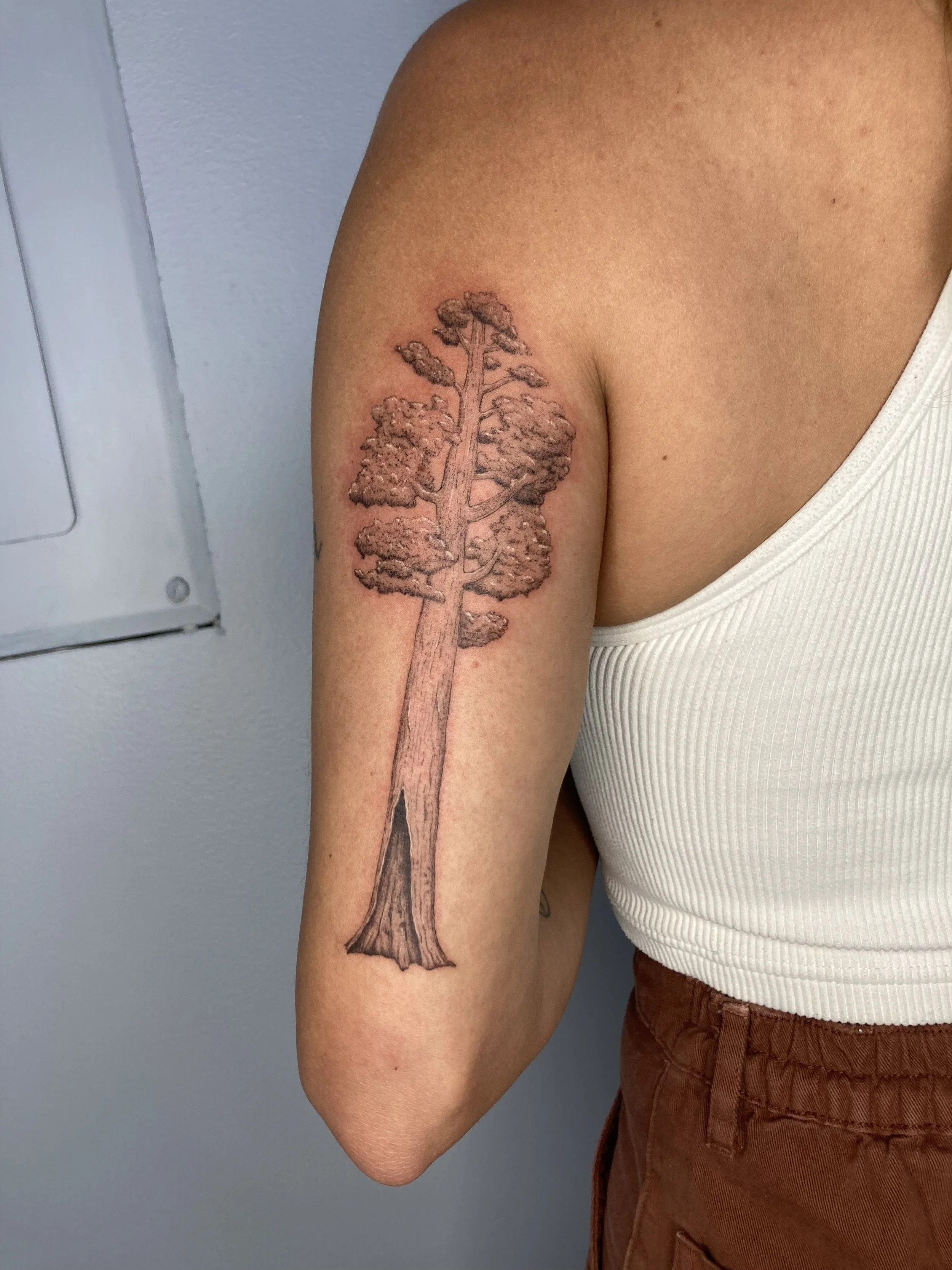 Tattoo by Jamison @jamison.jpg