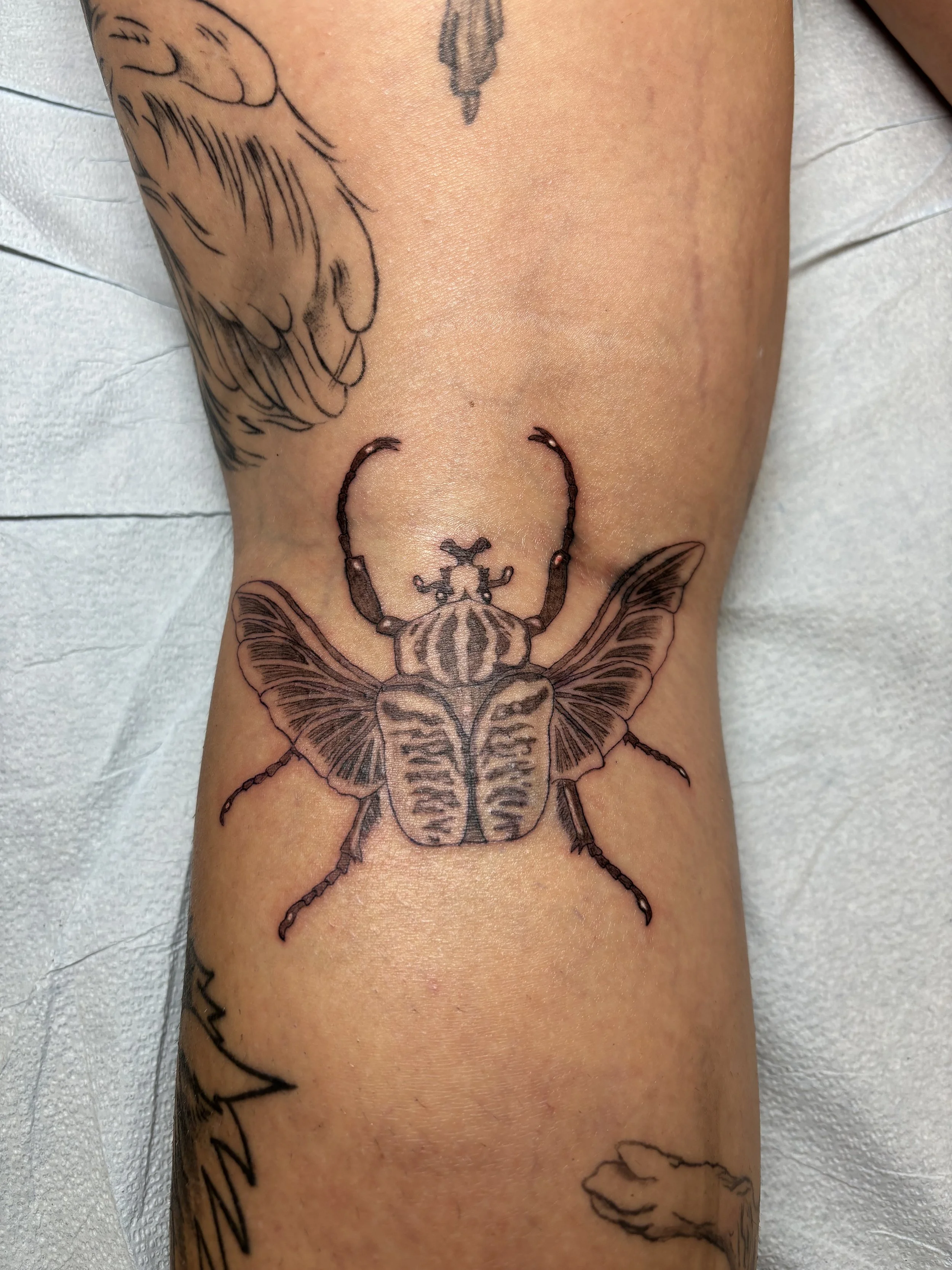 Tattoo by Mayra @lunarlarcenist