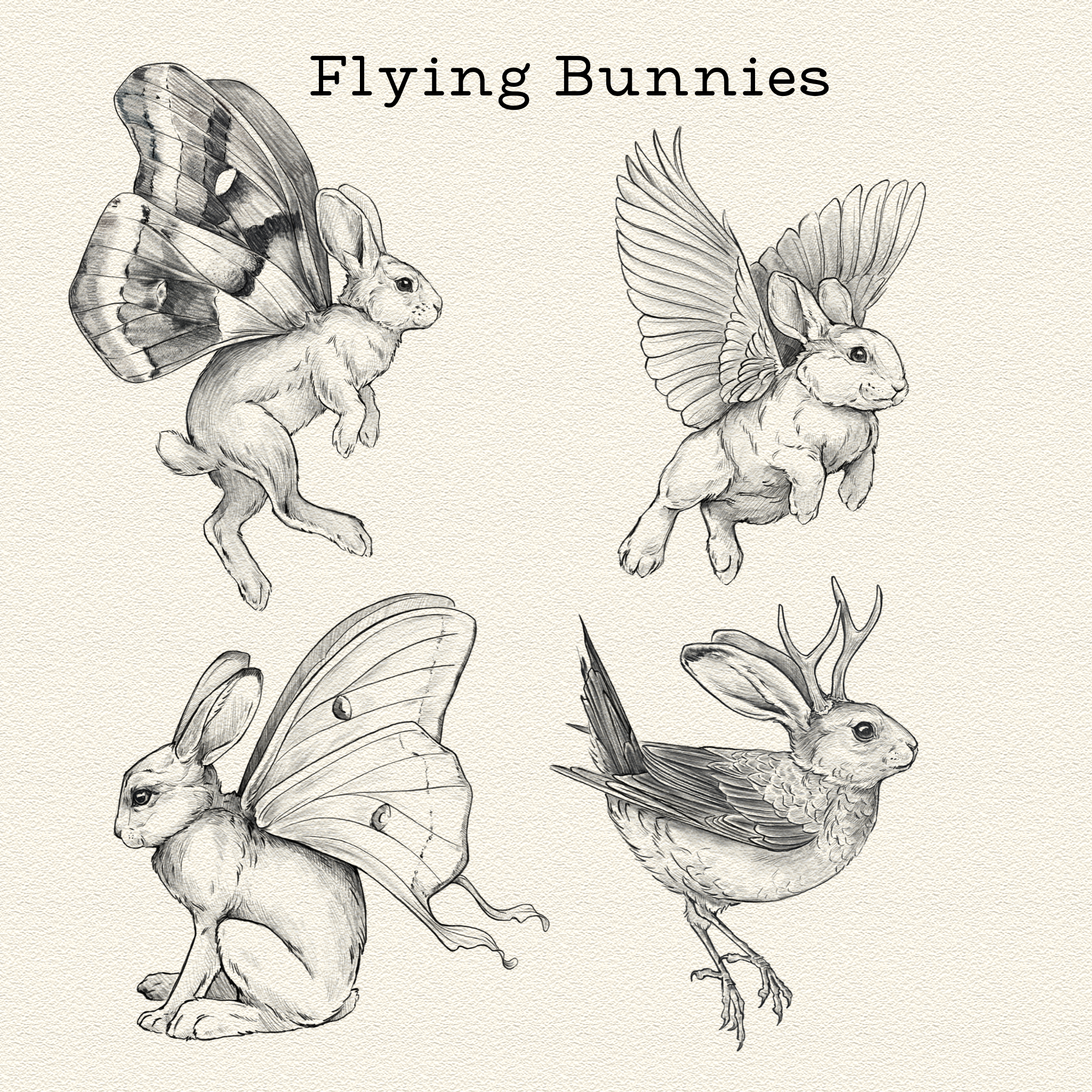 Flying Bunnies