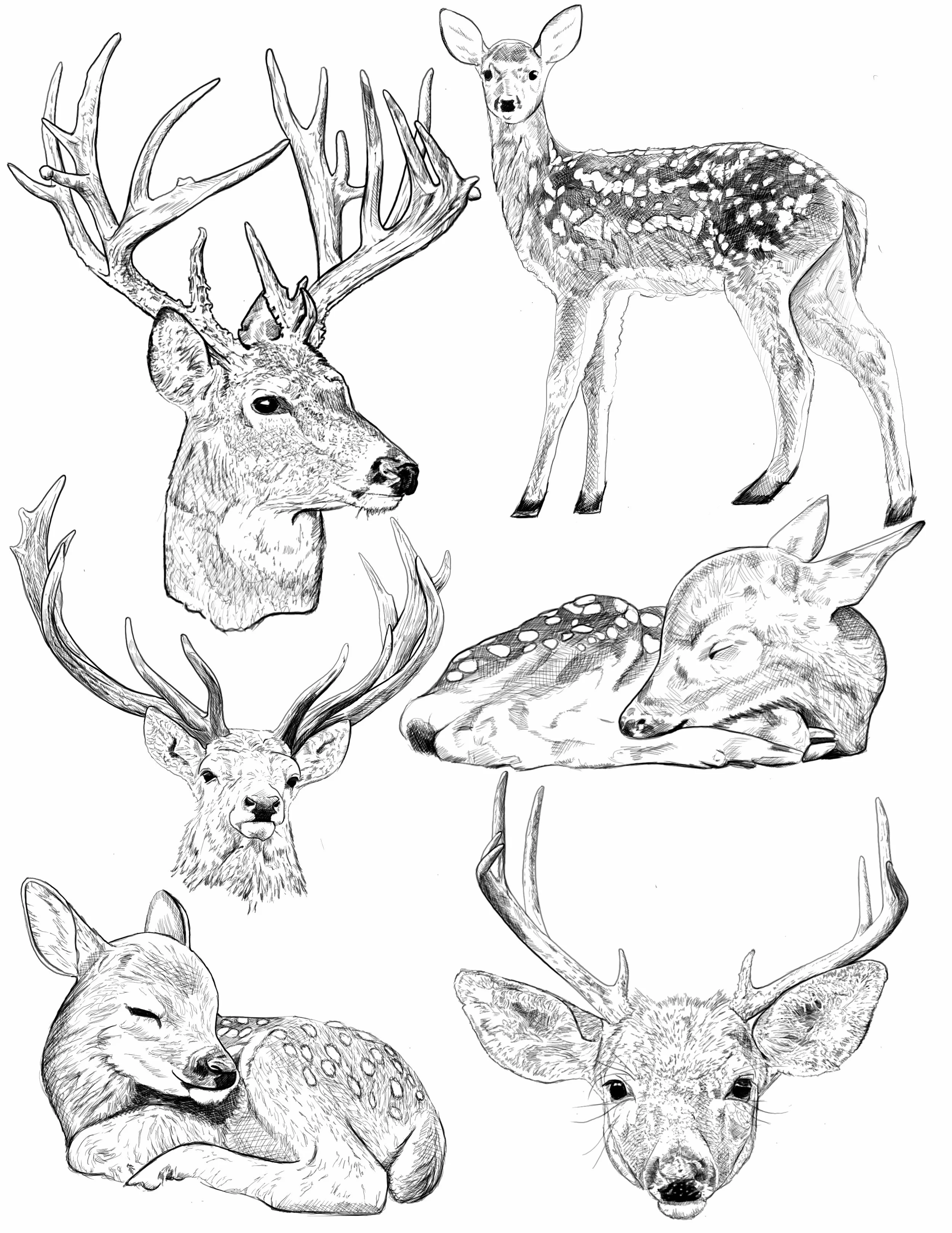 Flash design by Andrew Baker