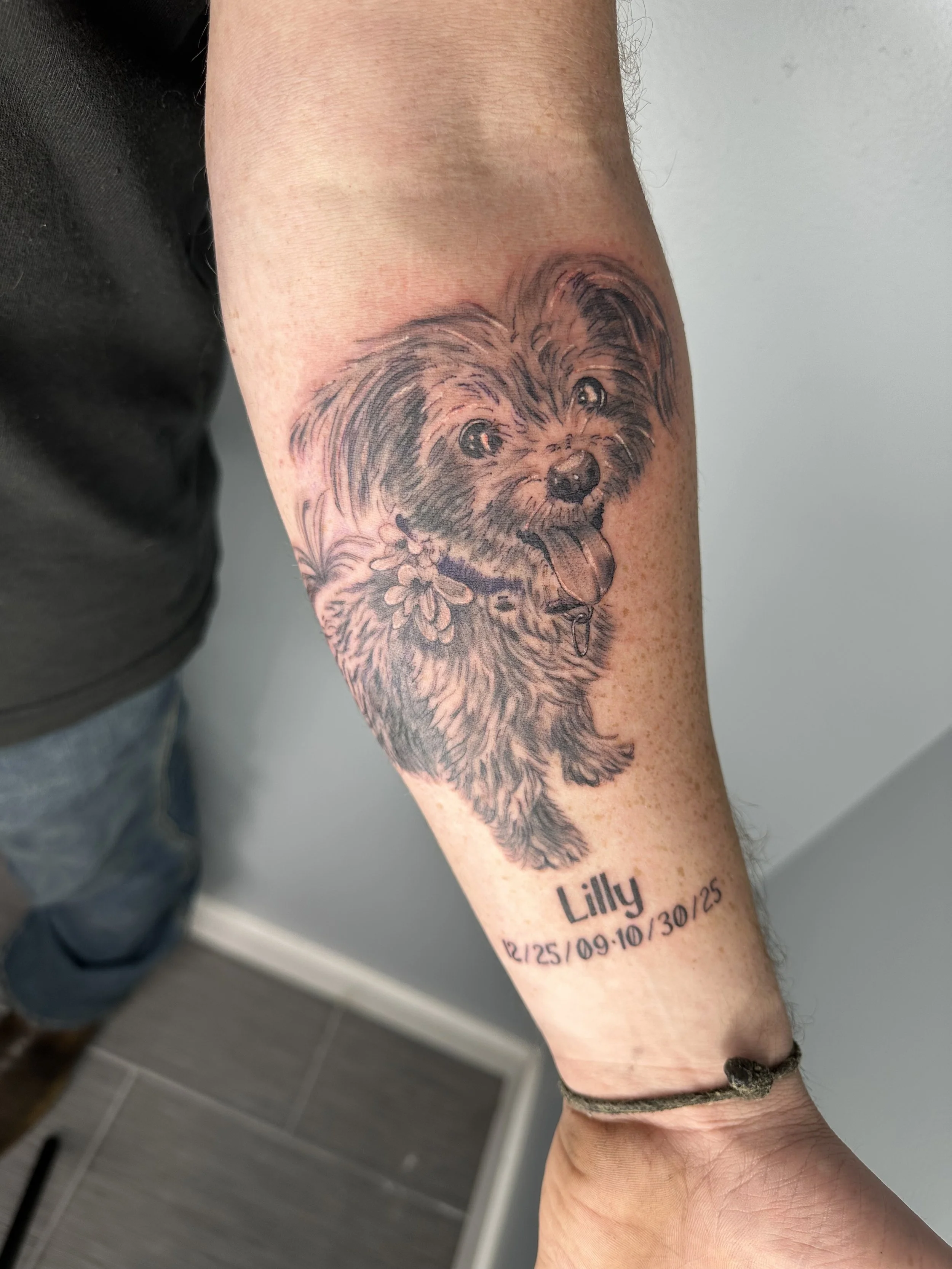 Tattoo by Wobbly @wobbly_fox