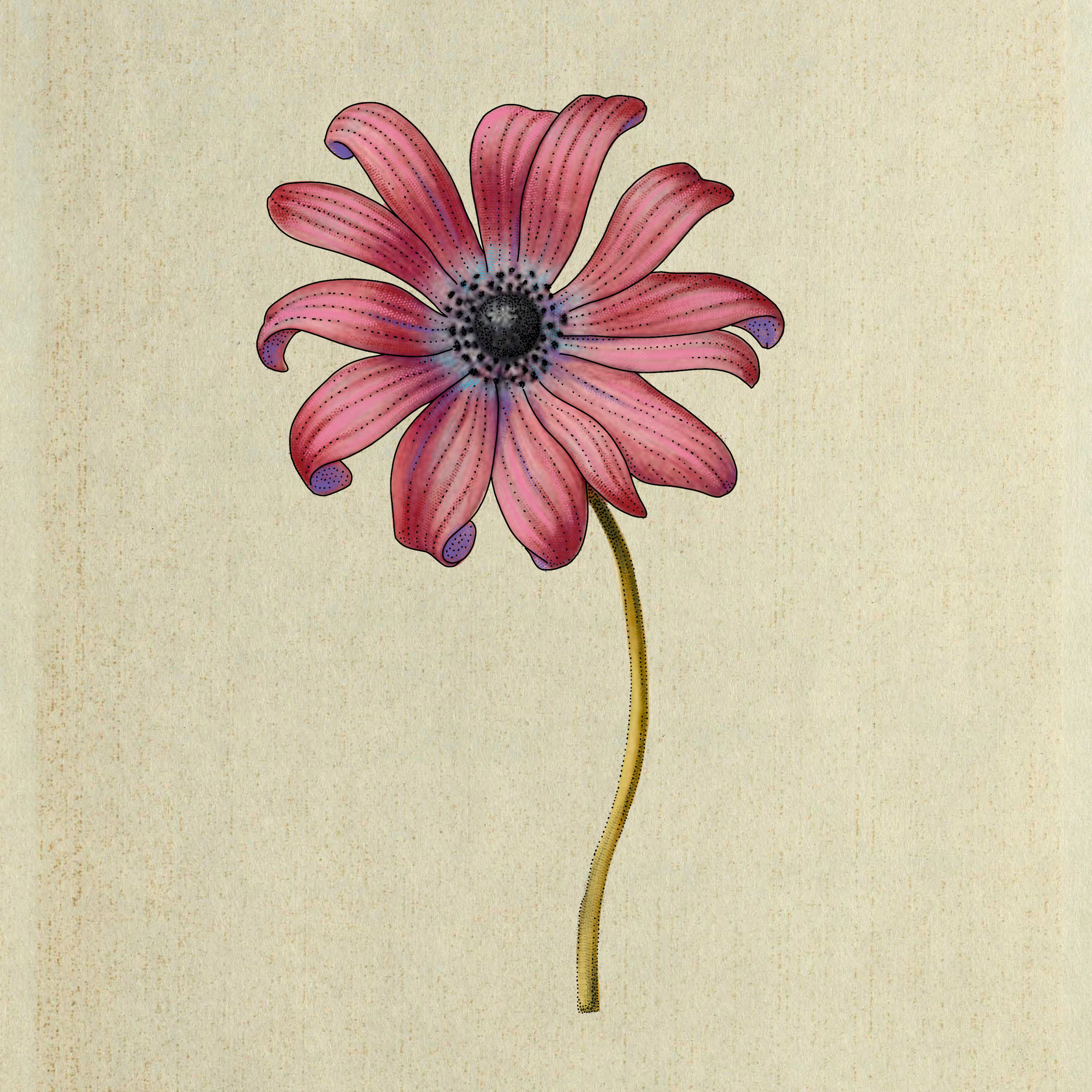 Available flash by Elle @ellesparksstudio at Birdhouse Tattoo Portland, Oregon