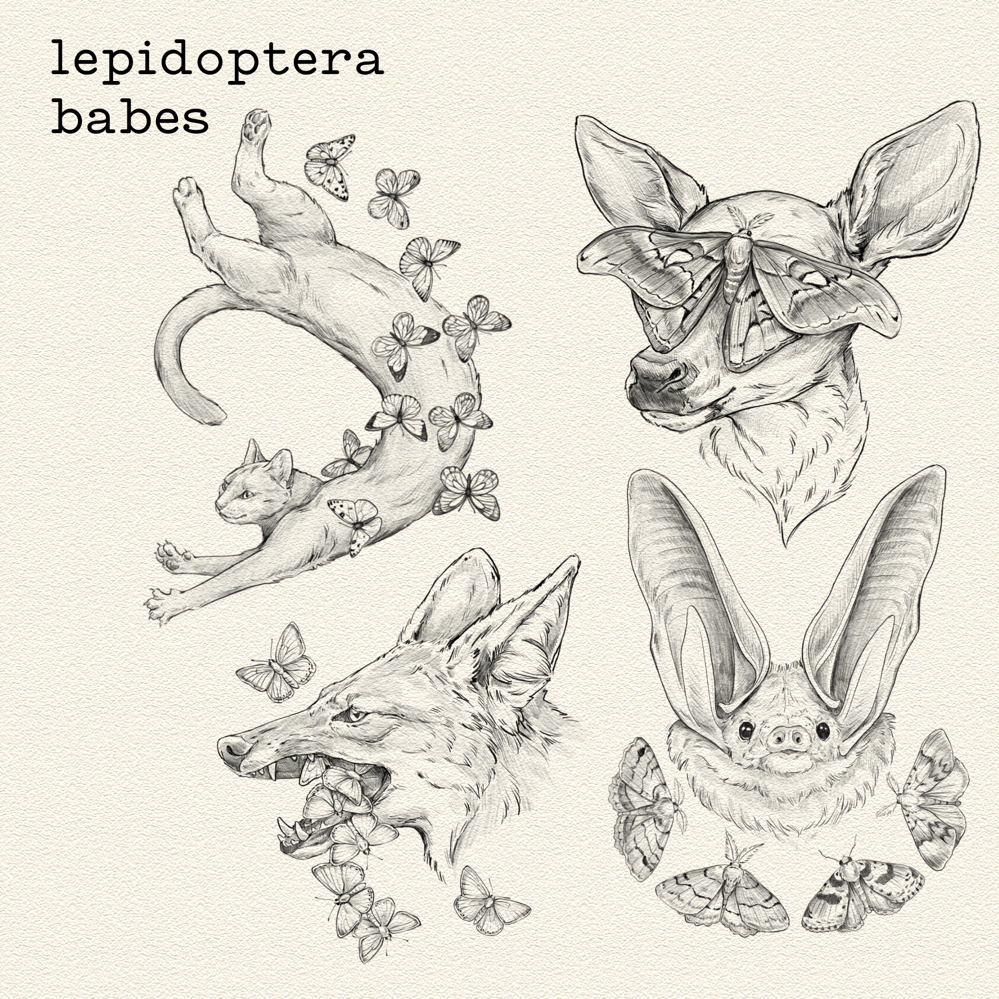 Lepidoptera Babes