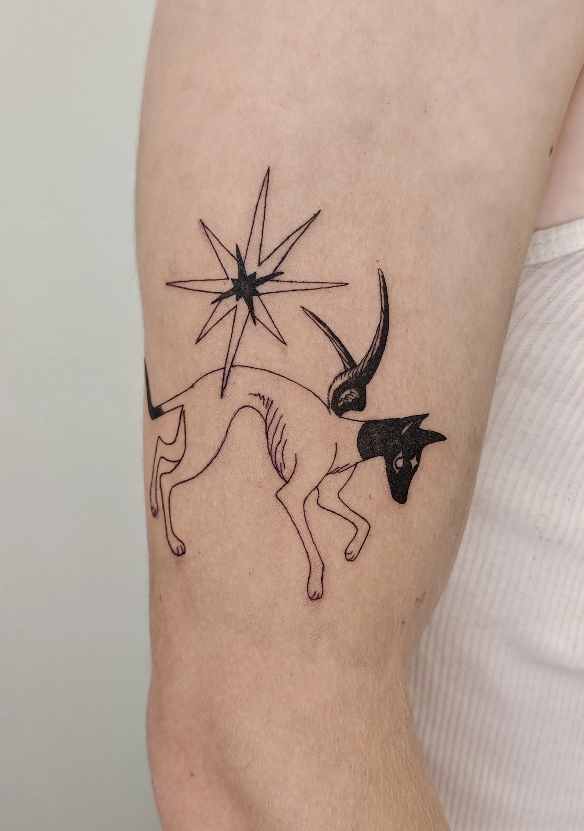 Tattoo by Grey @birdsolitaire at Birdhouse Tattoo in Portland Oregon