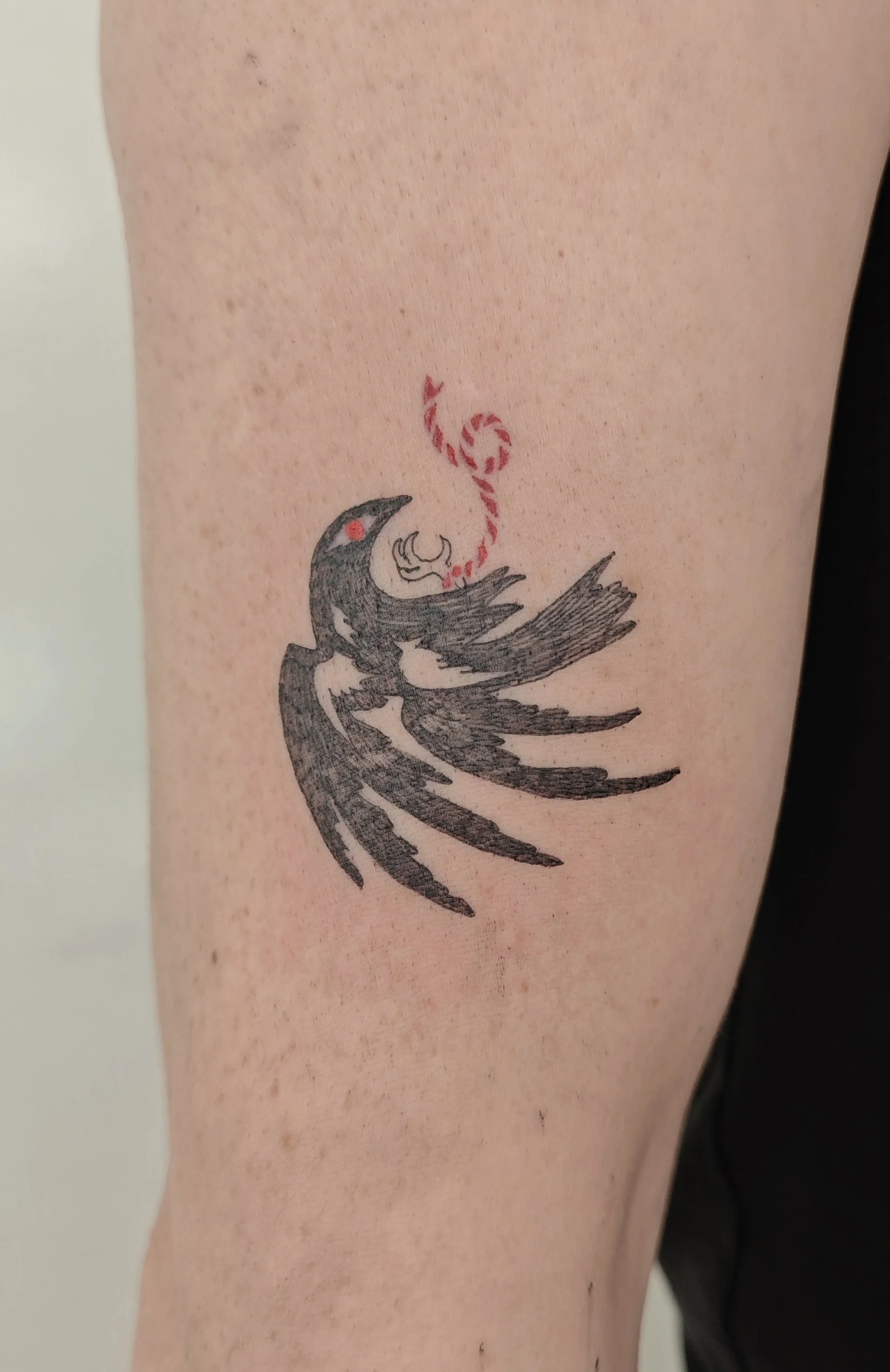 Tattoo by Grey @birdsolitaire at Birdhouse Tattoo in Portland Oregon
