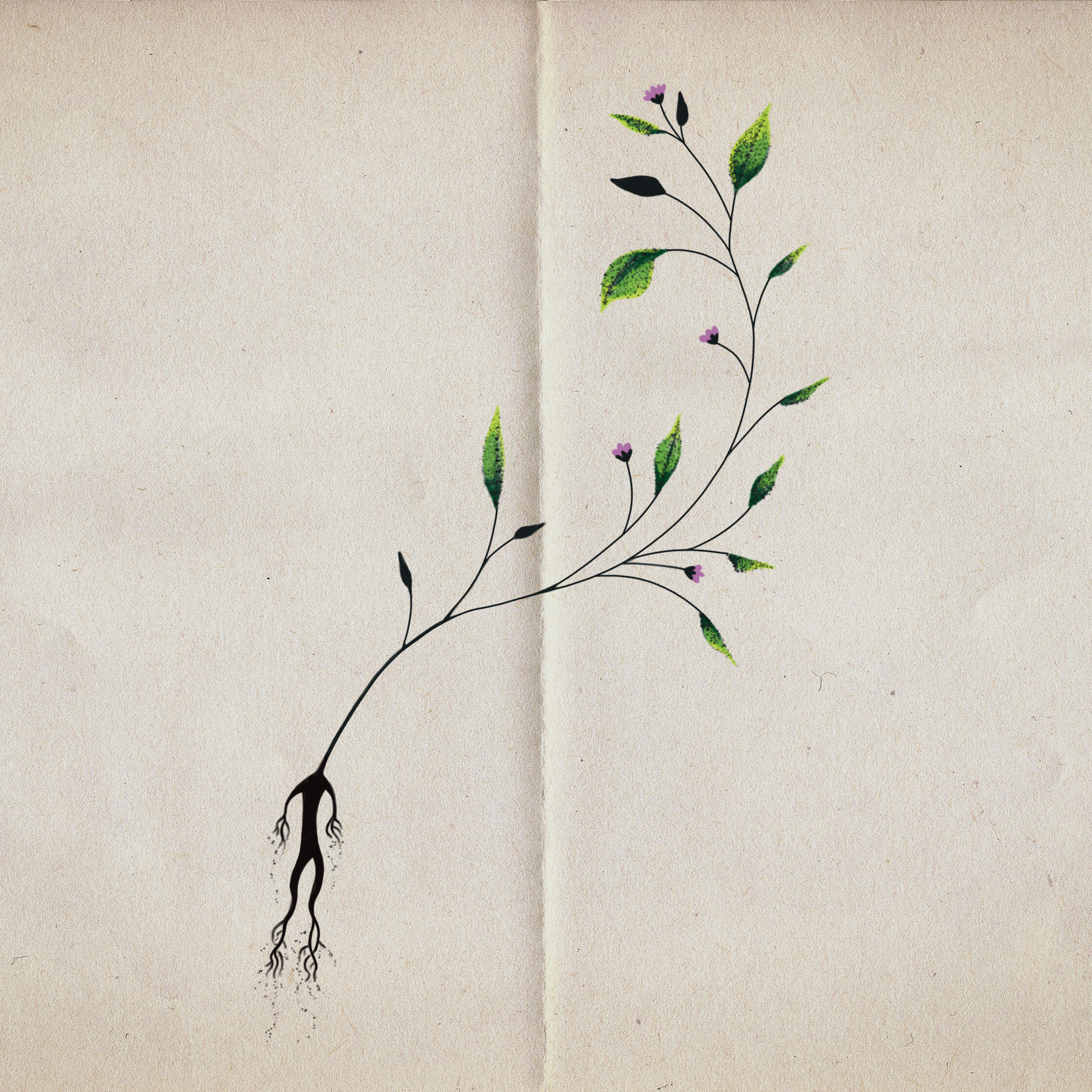 Available flash by Elle @ellesparksstudio at Birdhouse Tattoo Portland, Oregon