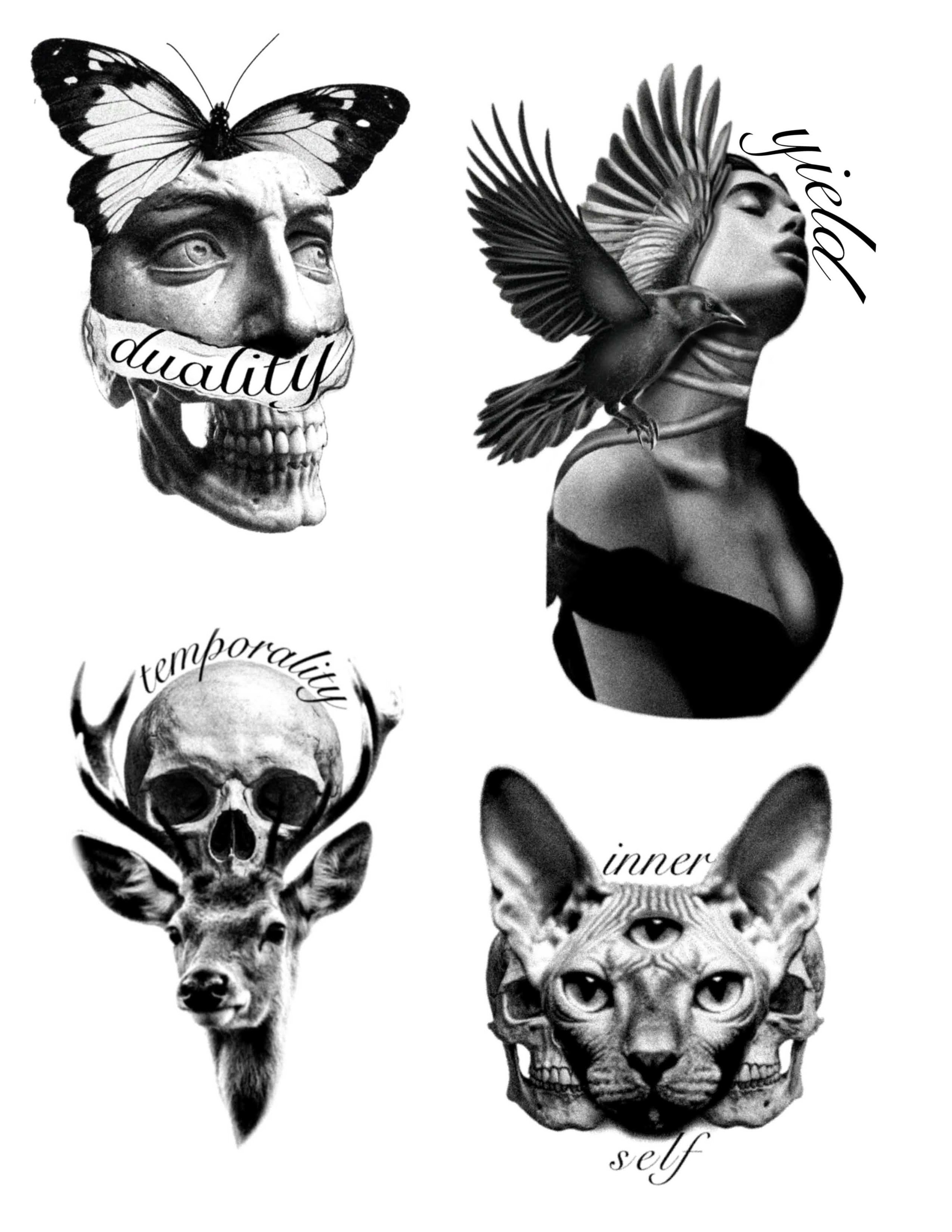 New Flash from Pedro