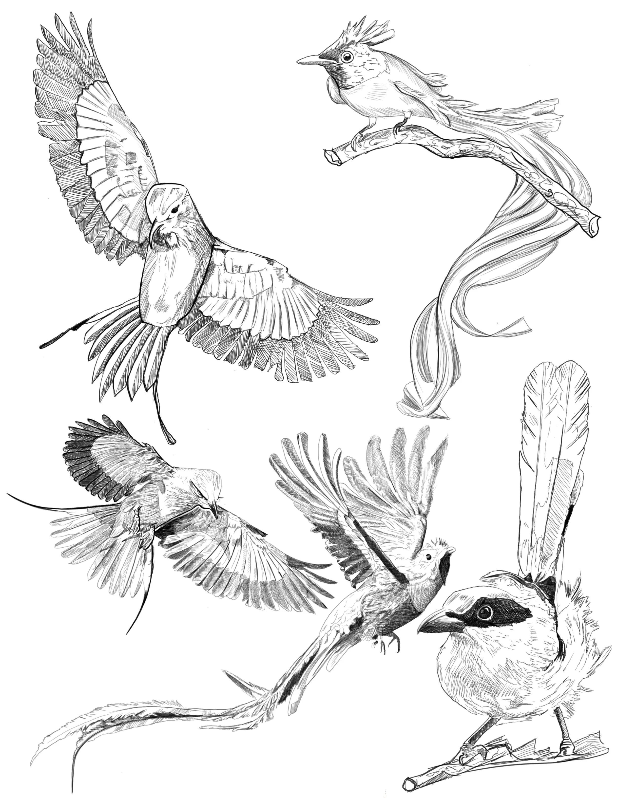 Flash design by Andrew Baker