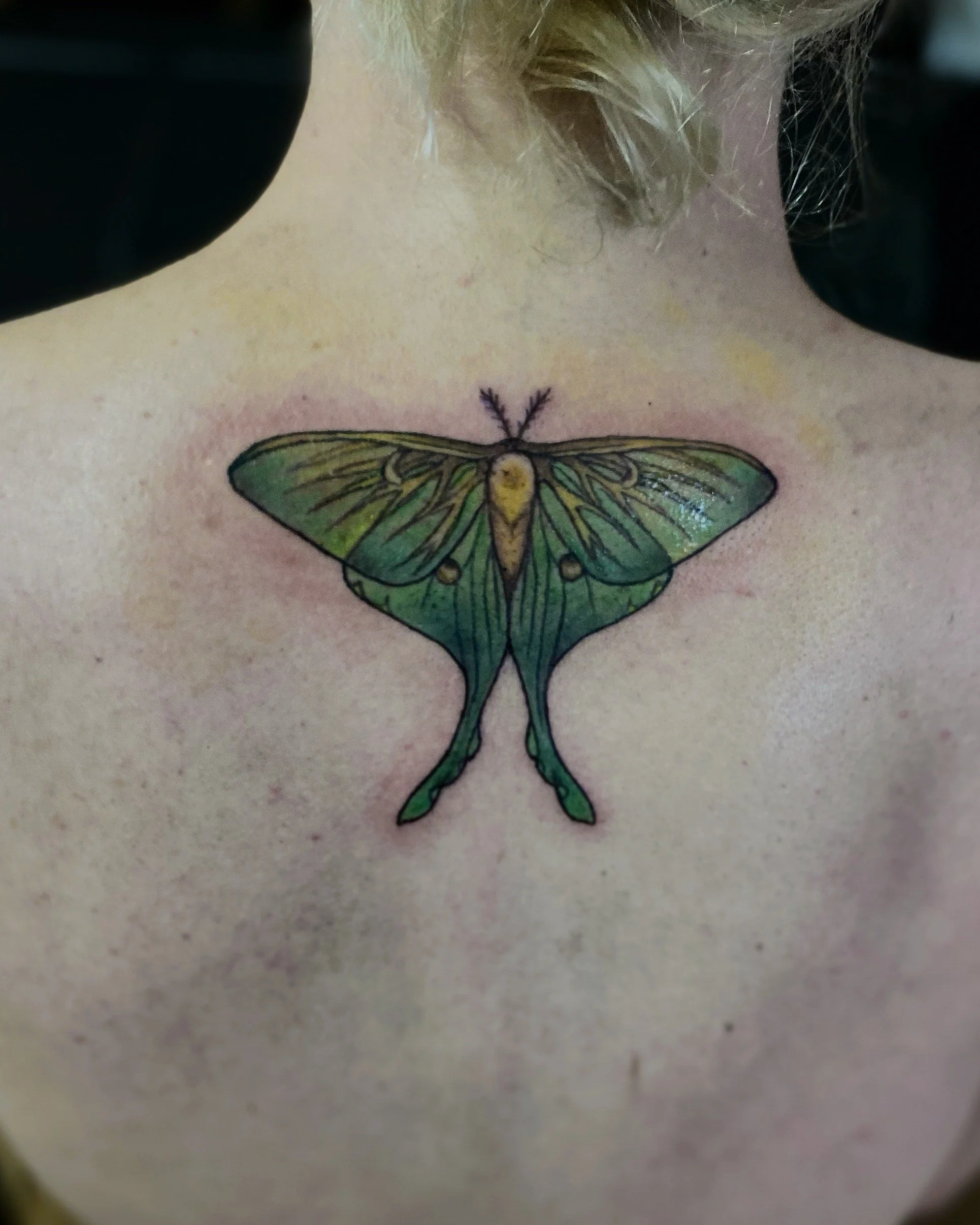 tattoo by Briar @b.sting.tattoos