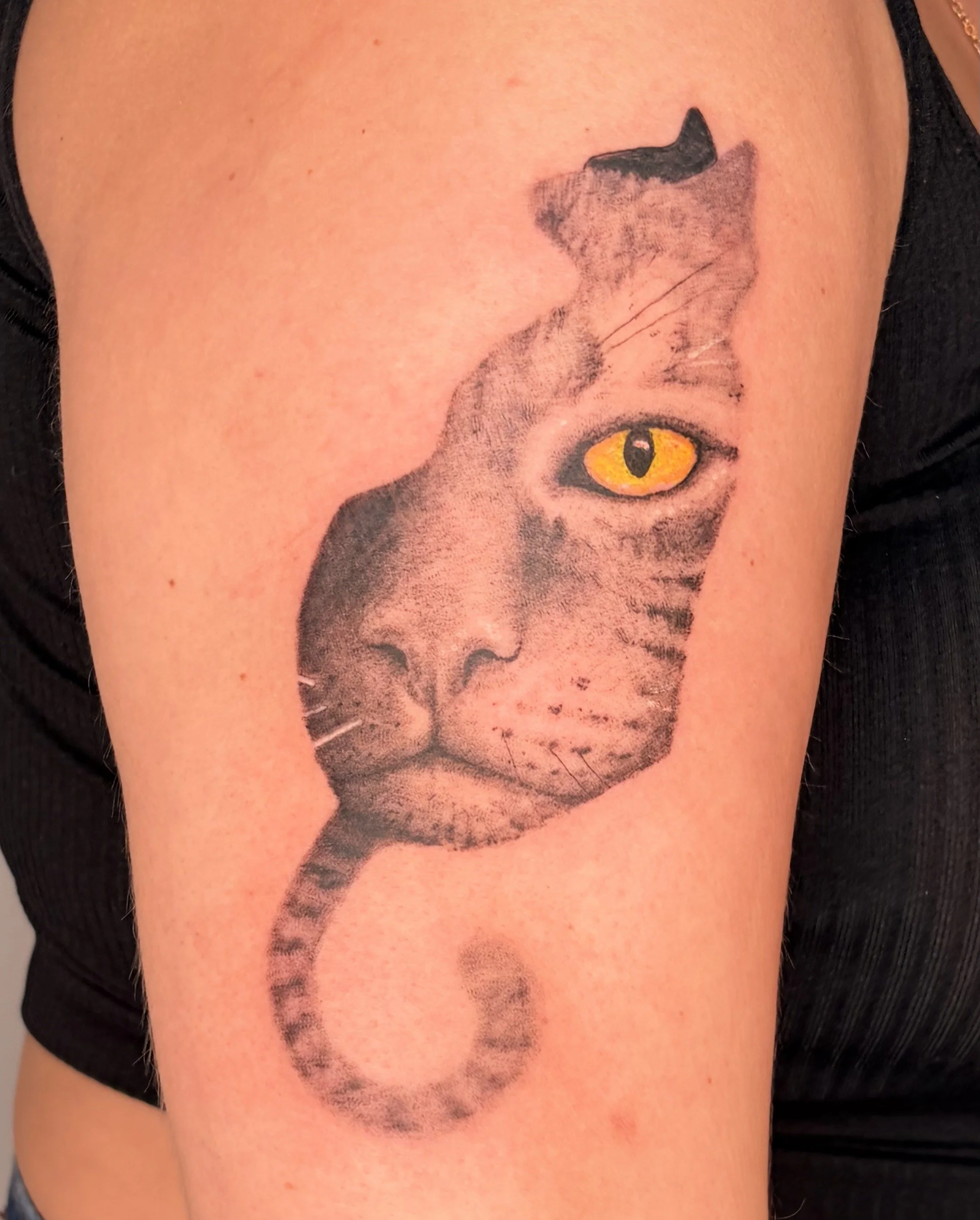 Tattoo by Mitchell @teebirdtattoo at Birdhouse Tattoo in Portland Oregon