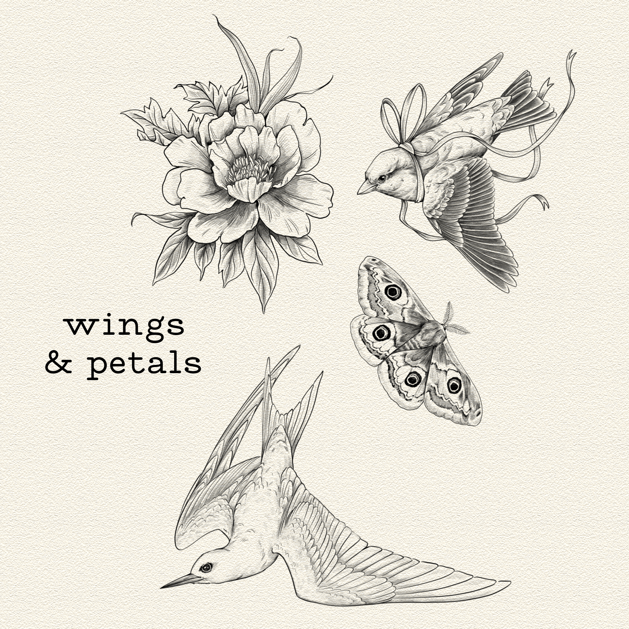 Wings & Petals