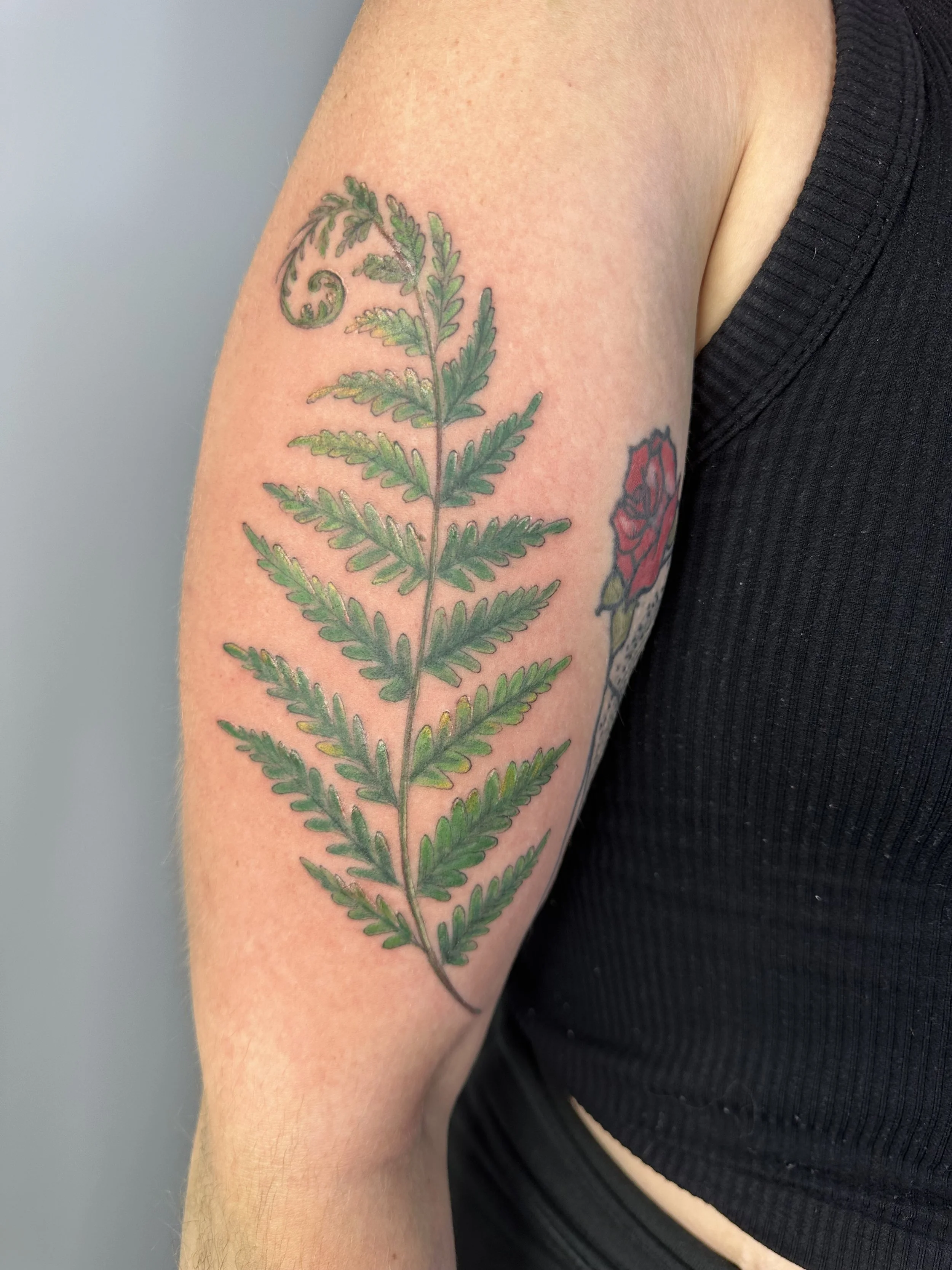 Tattoo by Wobbly @wobbly_fox