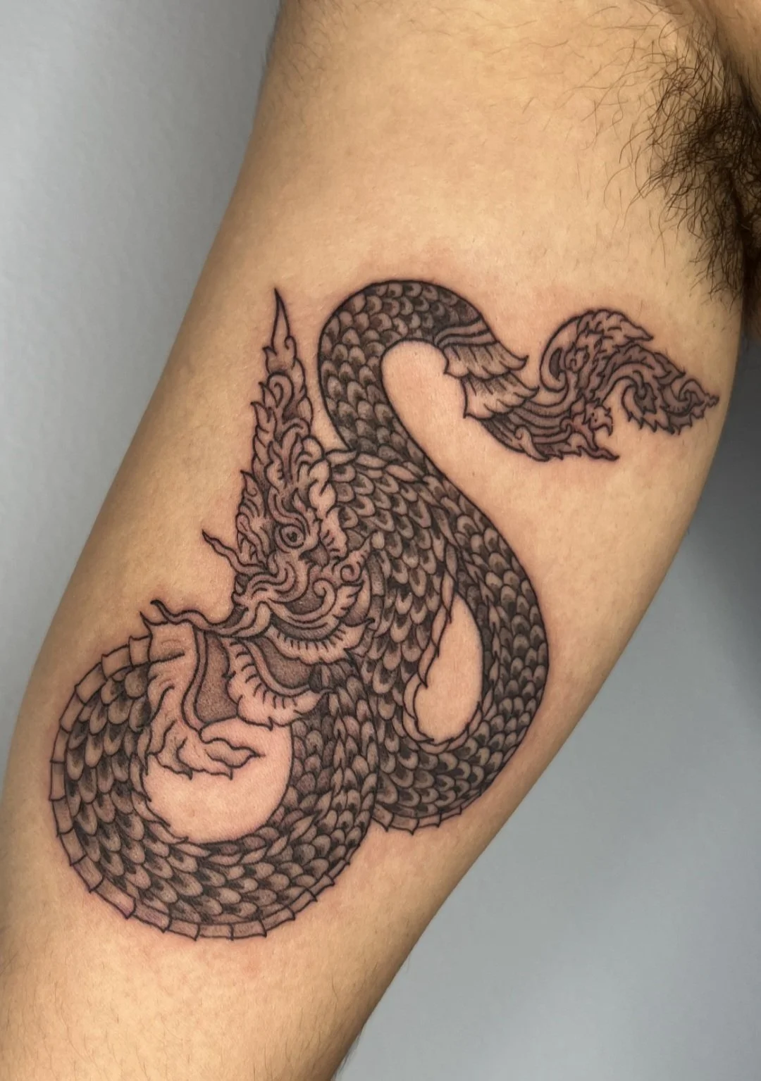 Tattoo by Rachel Wolfe @r.m.wolfe at Birdhouse Tattoo in Portland