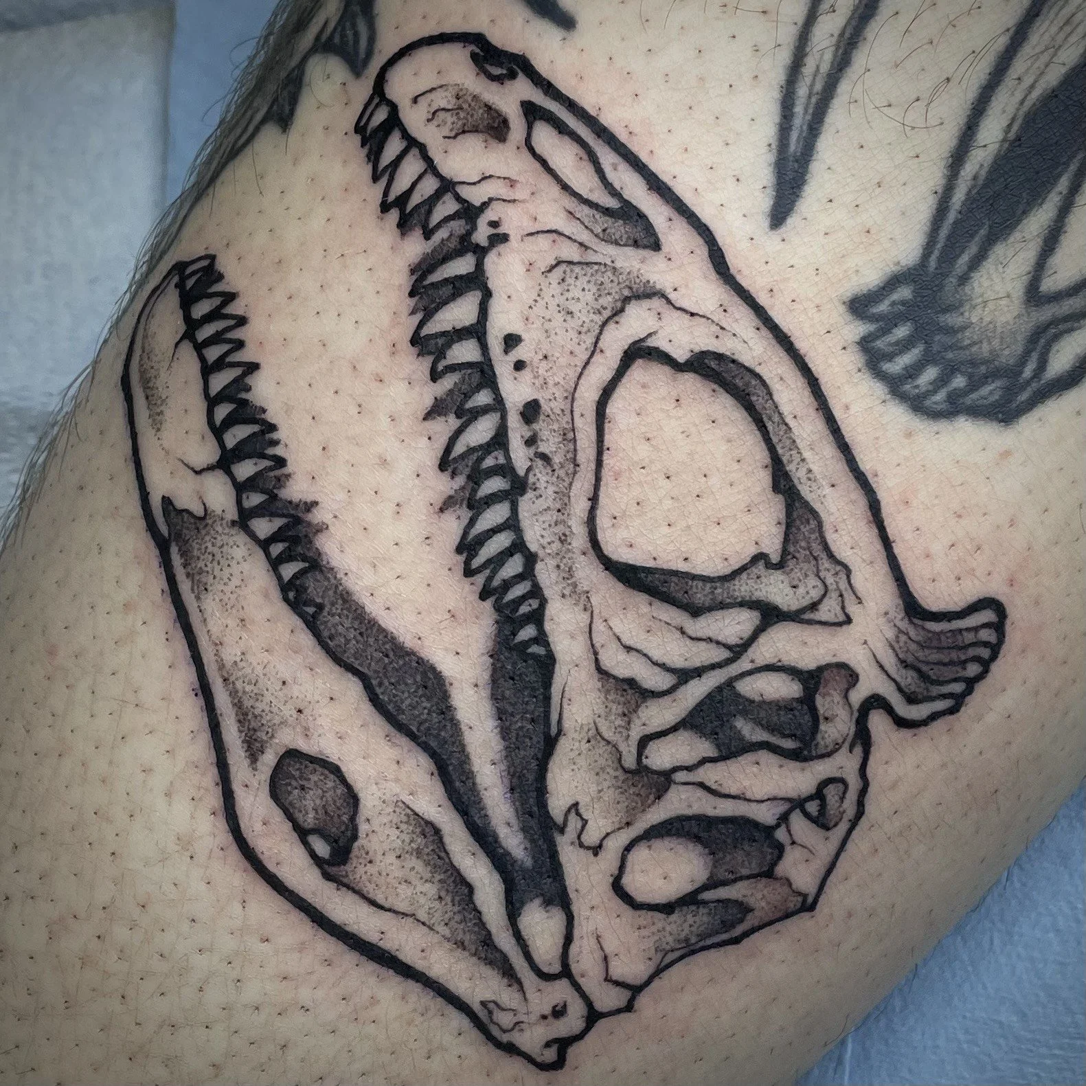 Tattoo by Brianna @darkwood.tattoos at Birdhouse Portland, Or