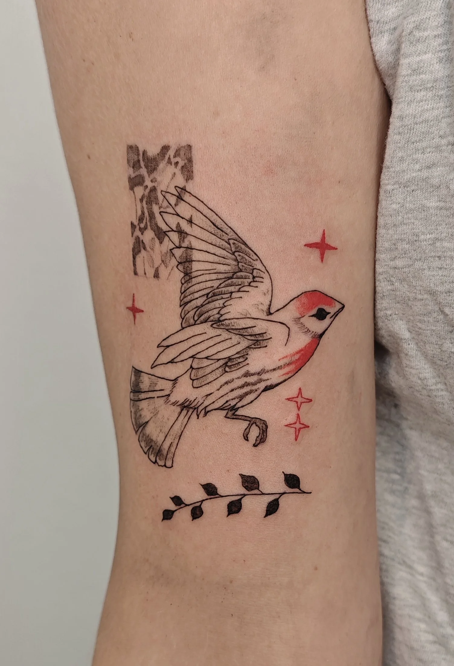 Tattoo by Grey @birdsolitaire at Birdhouse Tattoo in Portland Oregon