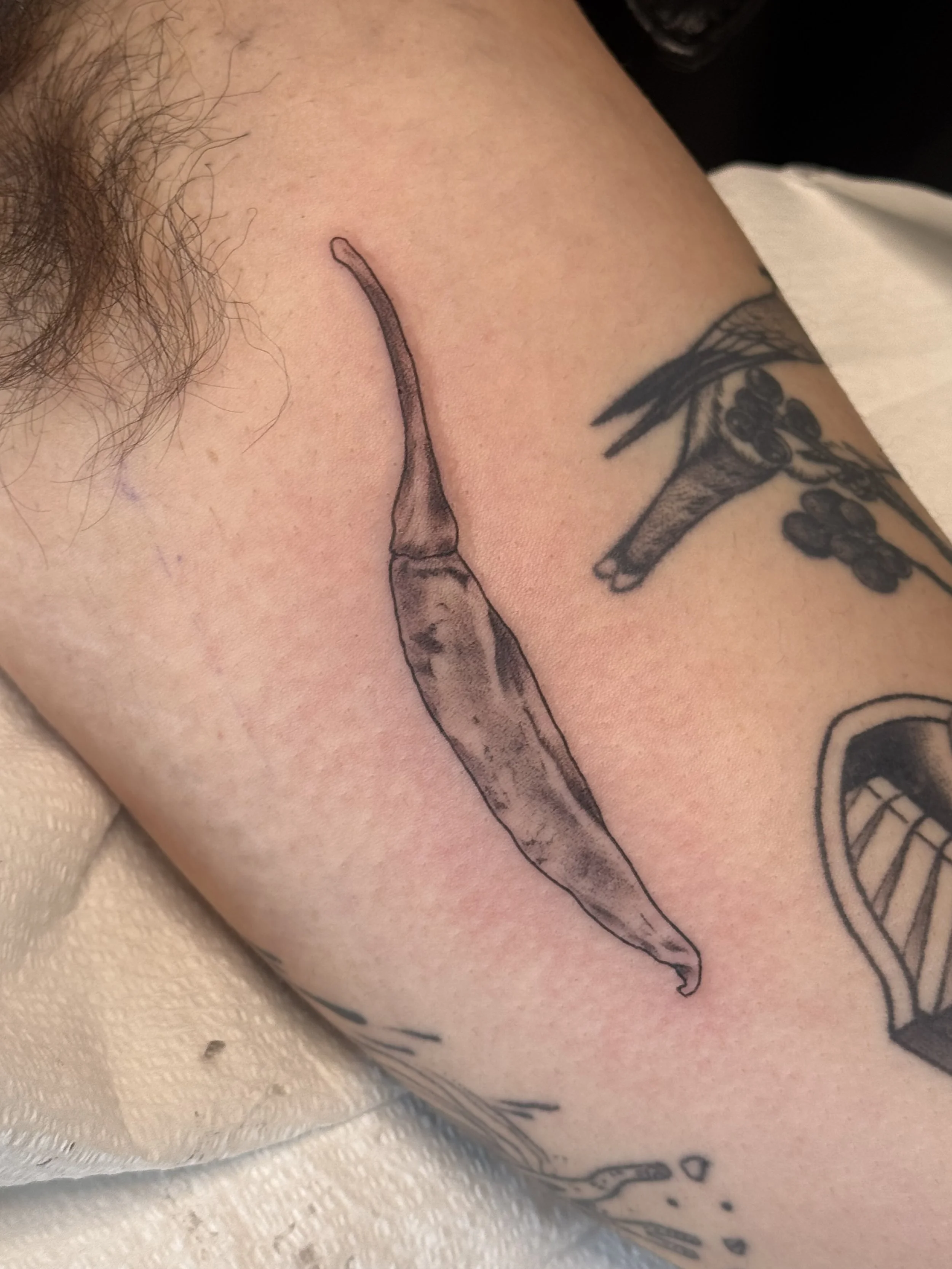 Tattoo by Ciel @soulpurpose at Birdhouse Tattoo in Portland Oregon