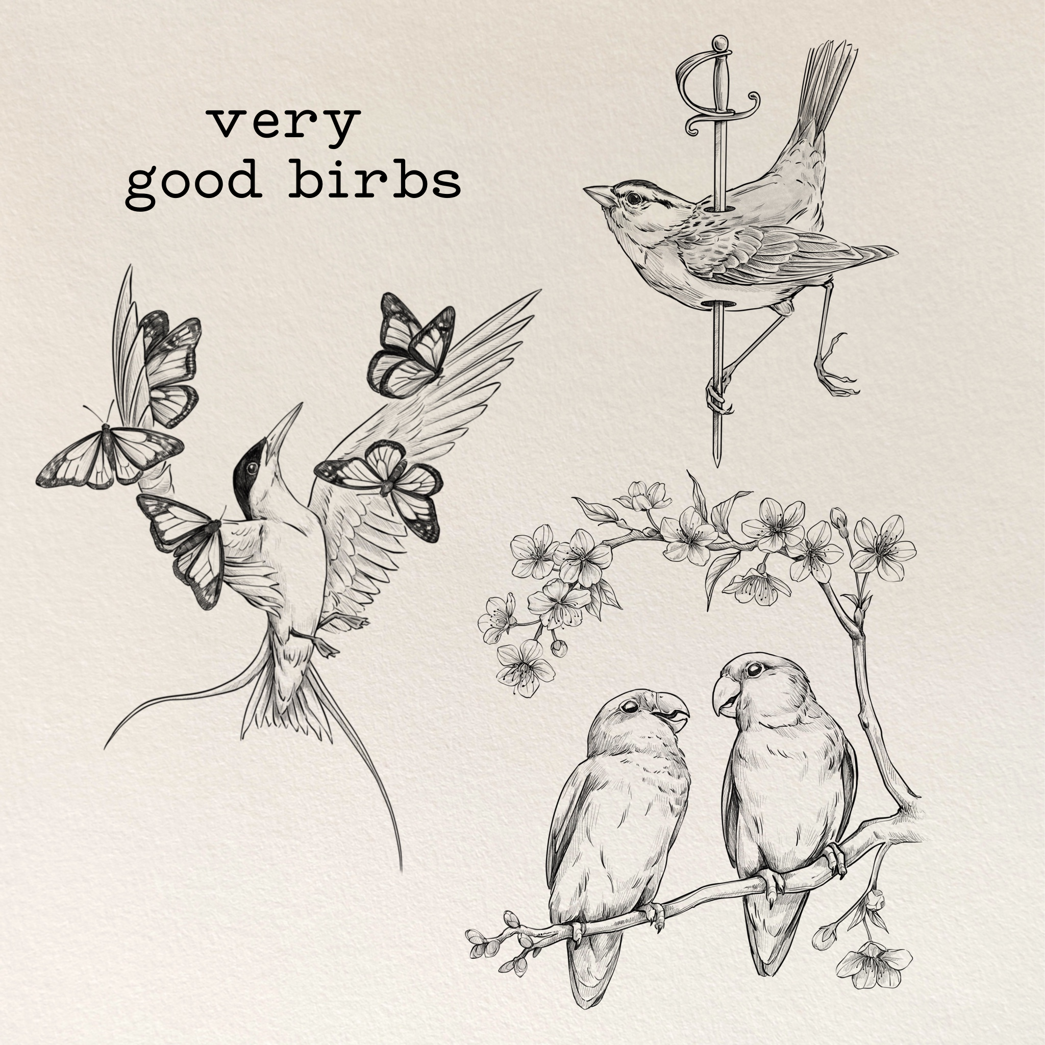 Very Good Birbs