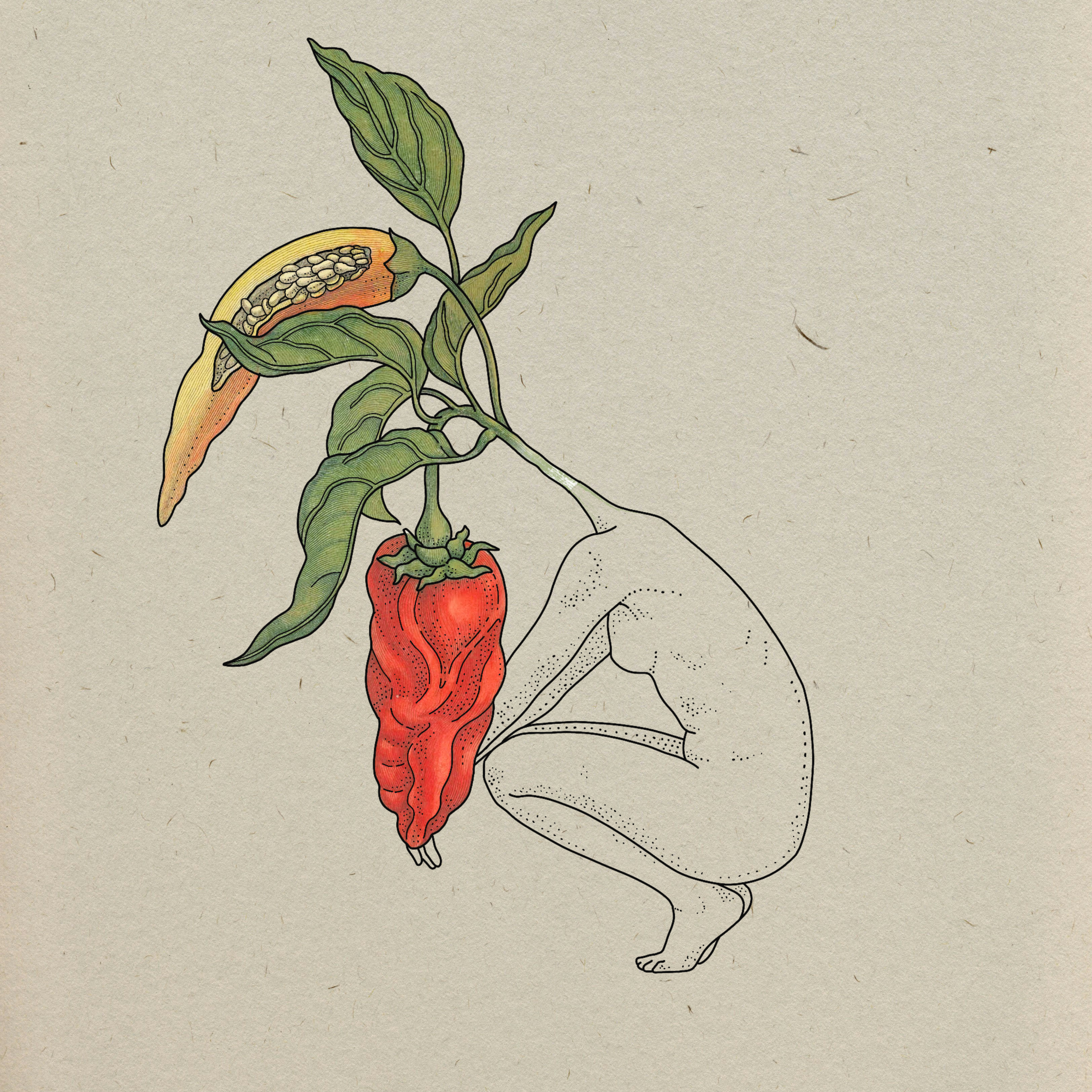 Available flash by Elle @ellesparksstudio at Birdhouse Tattoo Portland, Oregon