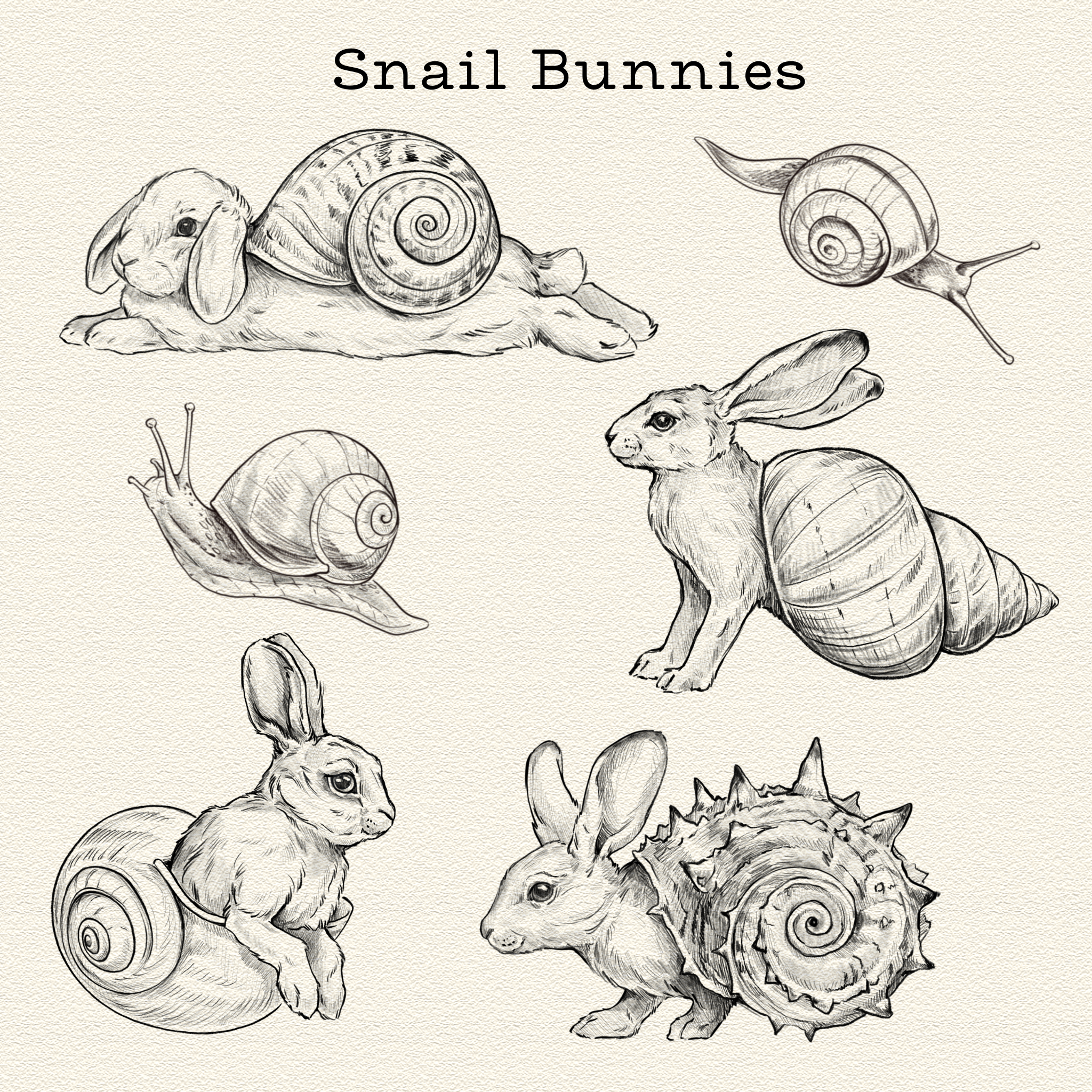Snail Bunnies