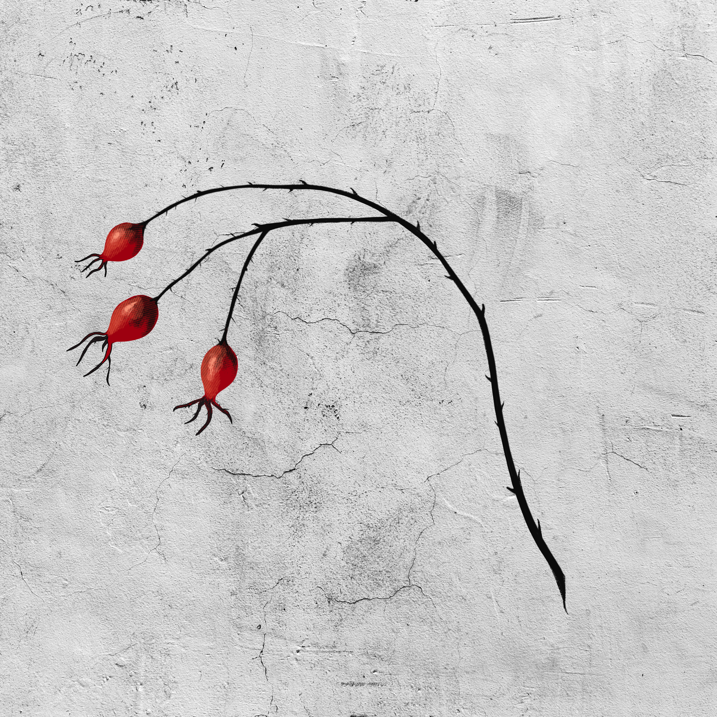 Available flash by Elle @ellesparksstudio at Birdhouse Tattoo Portland, Oregon