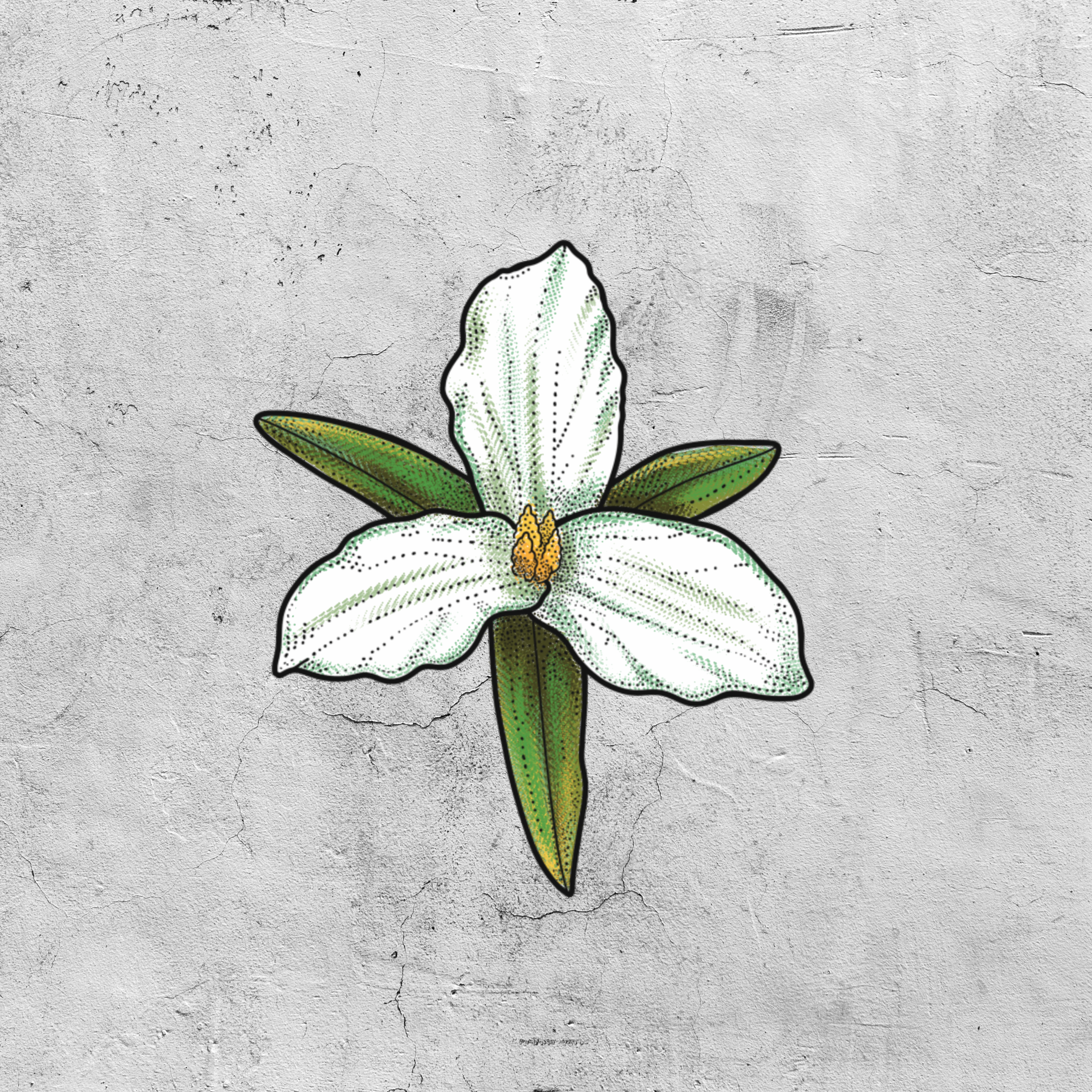 Available flash by Elle @ellesparksstudio at Birdhouse Tattoo Portland, Oregon