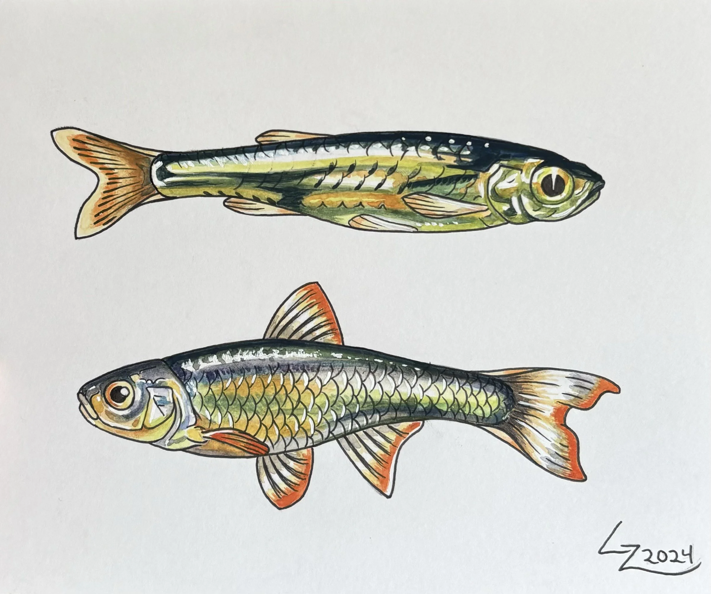 Available flash by Grady @glitter.b1tch