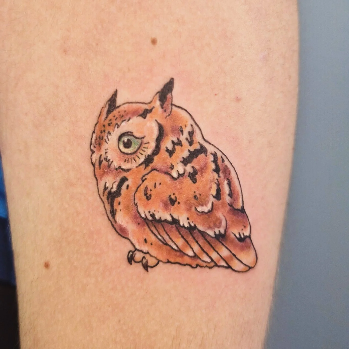 Tattoo by Rachel Wolfe @r.m.wolfe at Birdhouse Tattoo in Portland