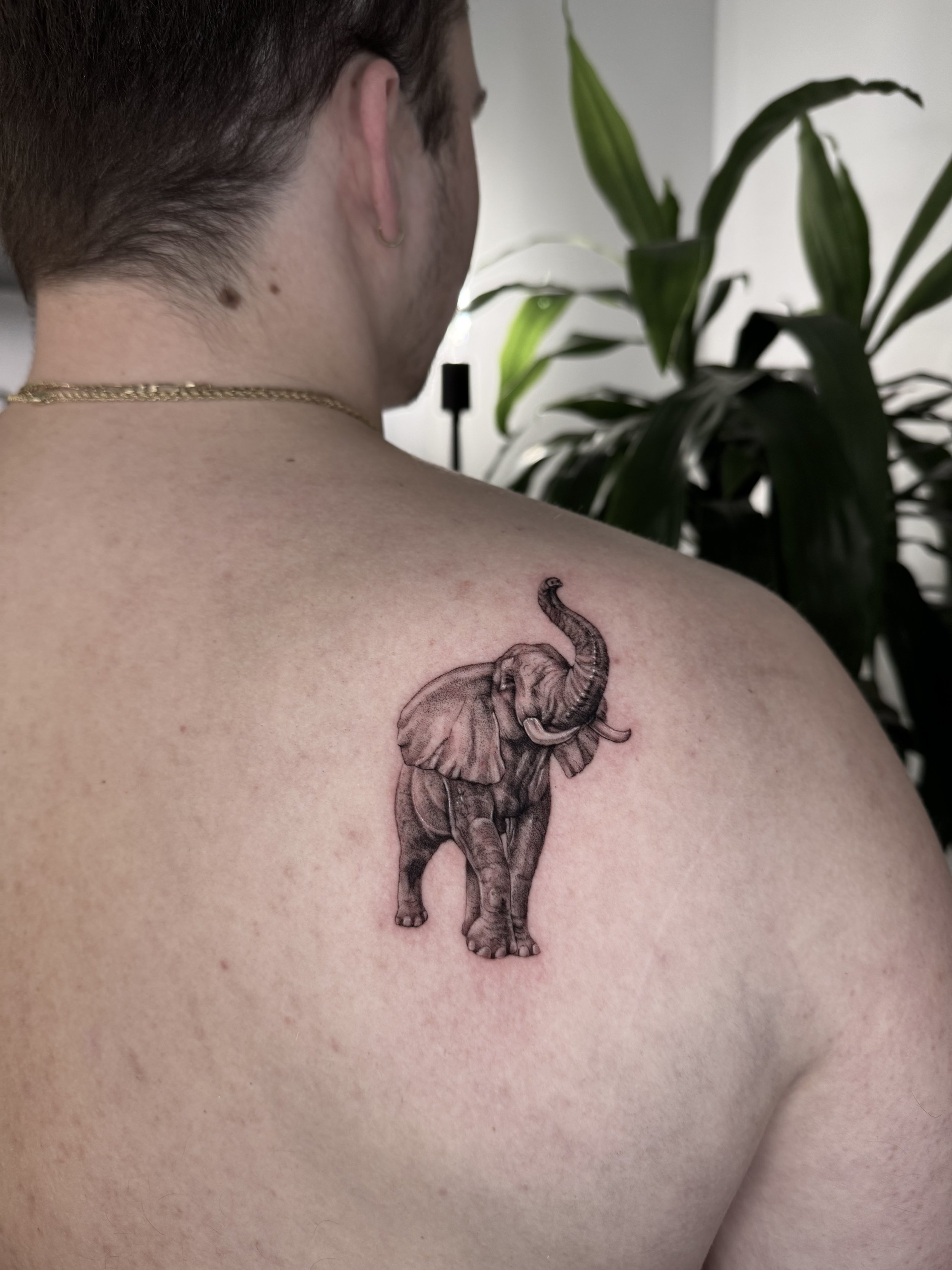 Tattoo by Rylee @ryleehooper.ink