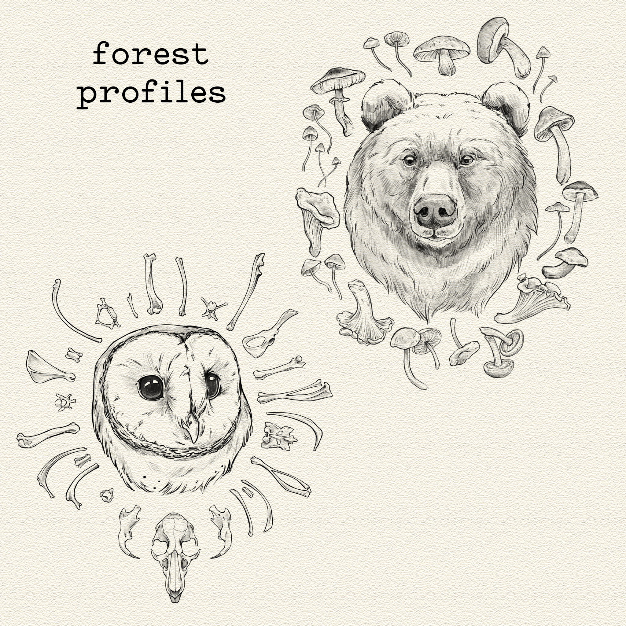 Forest Profiles
