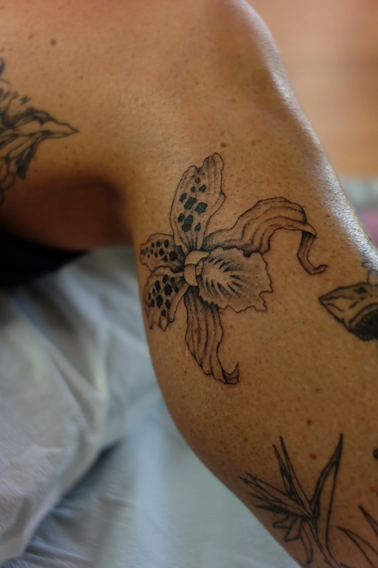 Tattoo by Sisi @sailorsisilia